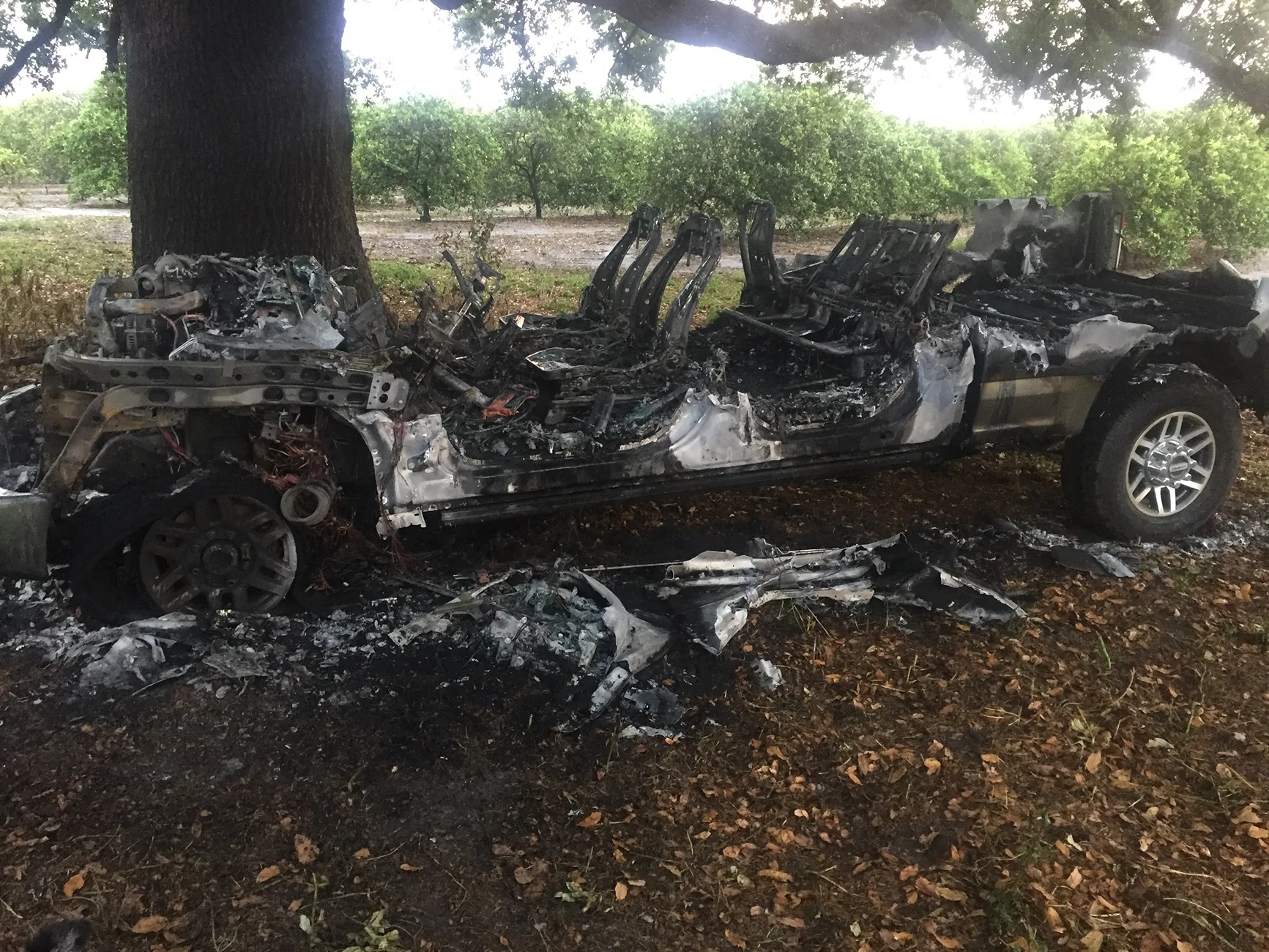 Ford F-150 Lightning My Lightning burned to the ground IMG_0767