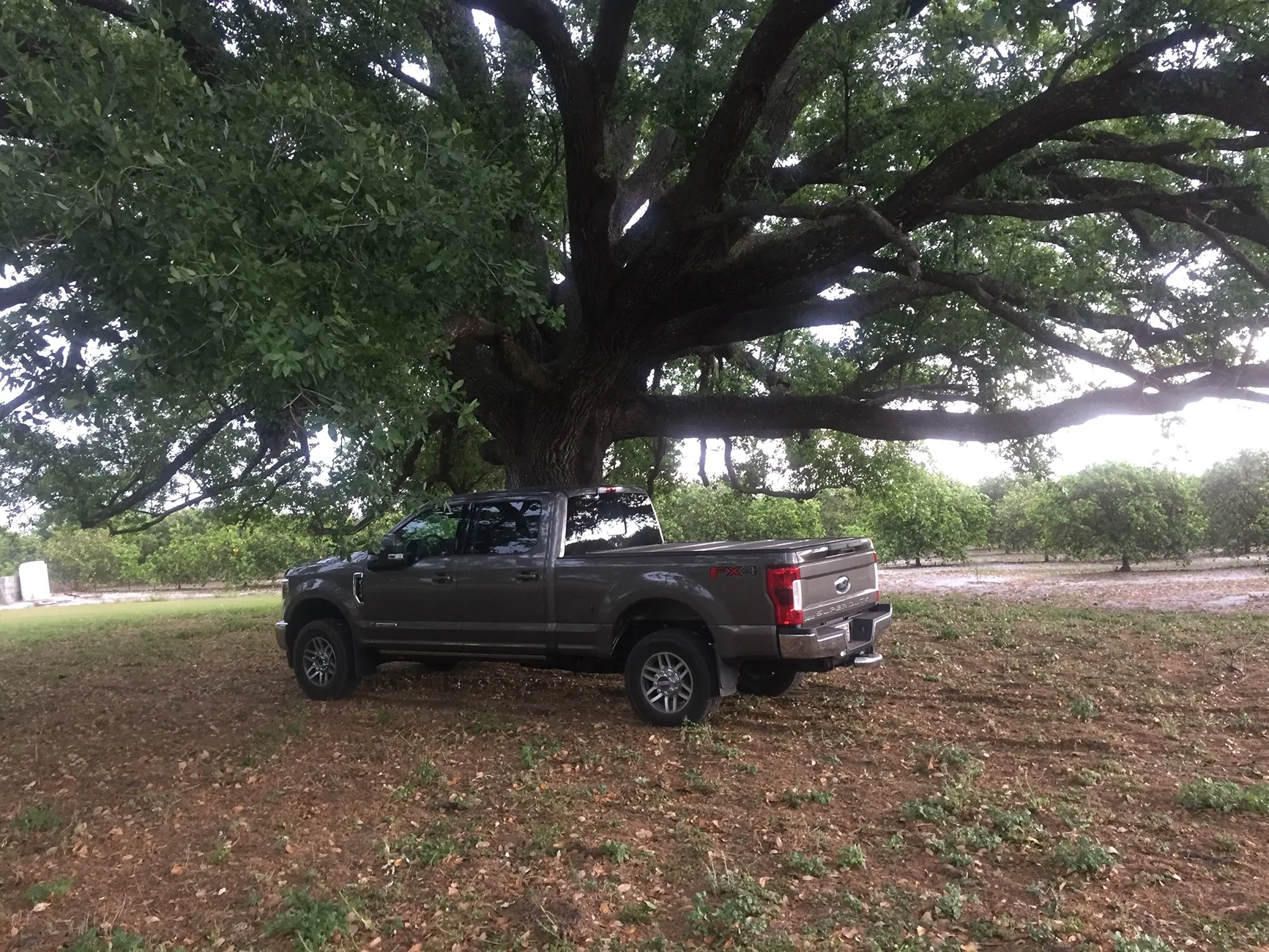 Ford F-150 Lightning My Lightning burned to the ground IMG_0765