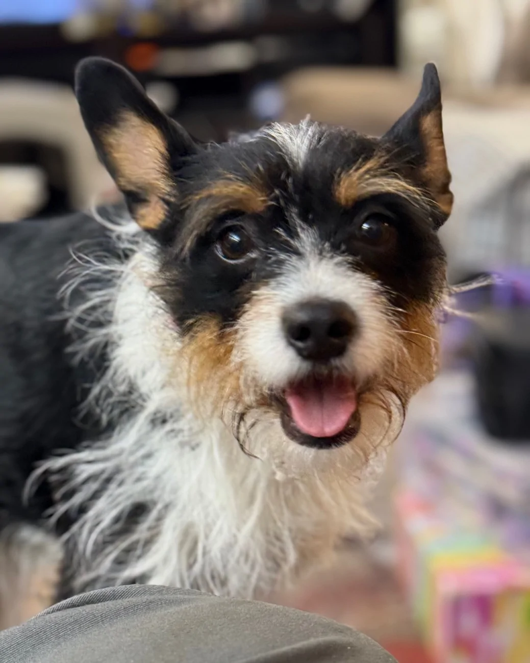 Ford F-150 Lightning Found my 'Avalanche' XLT;  Storm IMG_3363