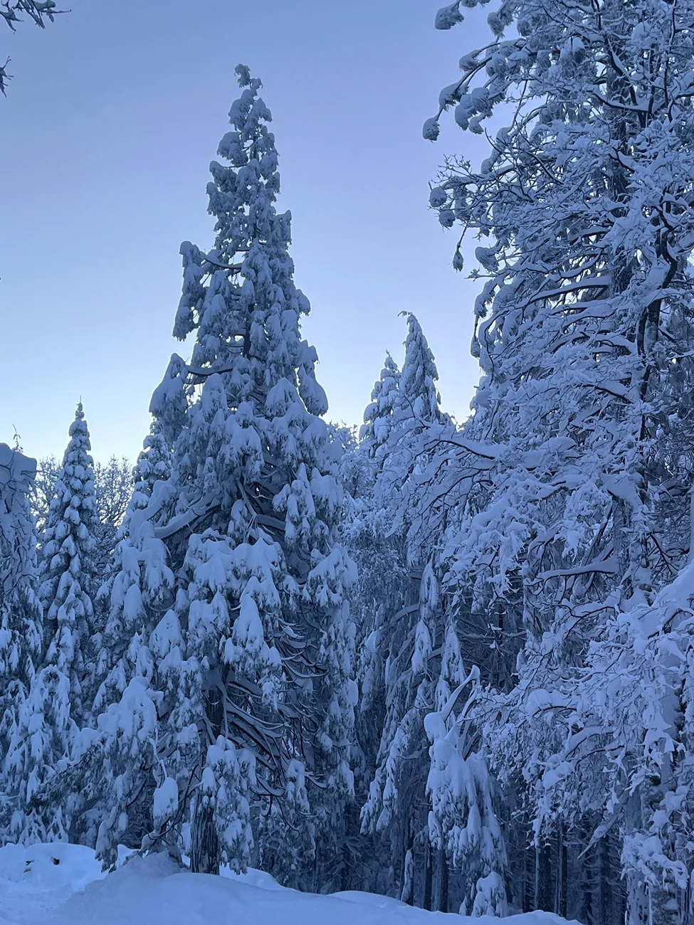 Ford F-150 Lightning Charging in Ice Storm sunris