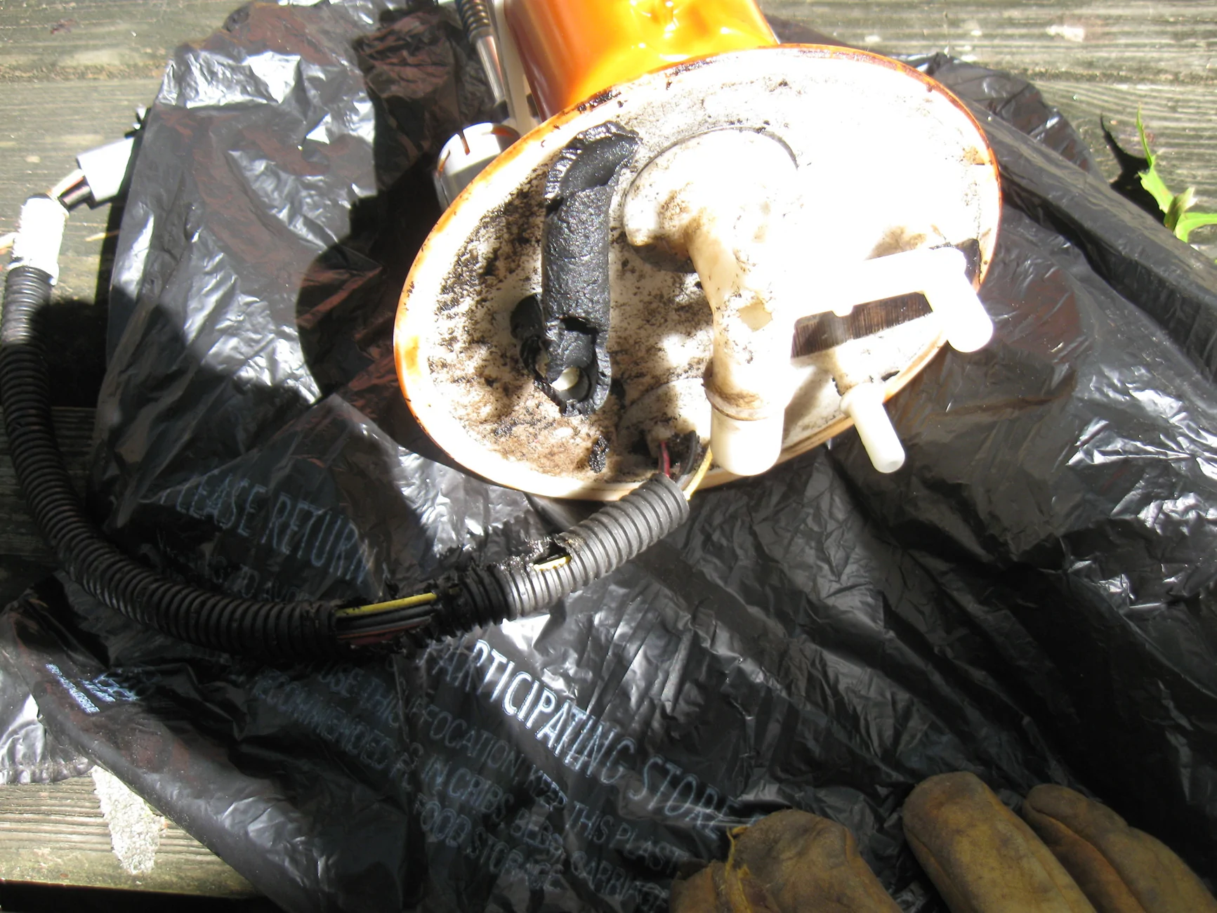 Ford F-150 Lightning Powertrain malfunction IMG_5729-squirrel chewed parts