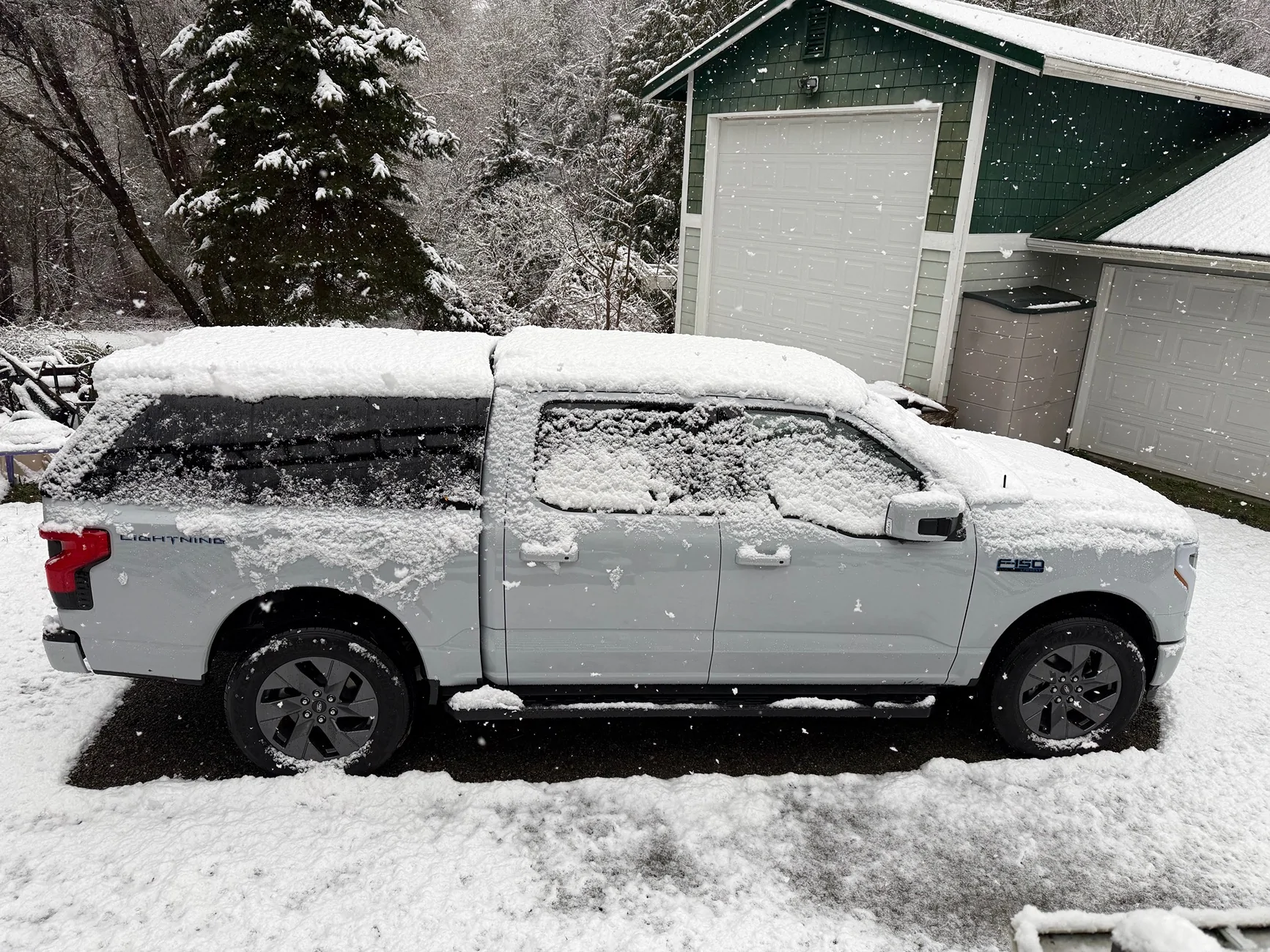 Ford F-150 Lightning Lightning In The Snow IMG_4689