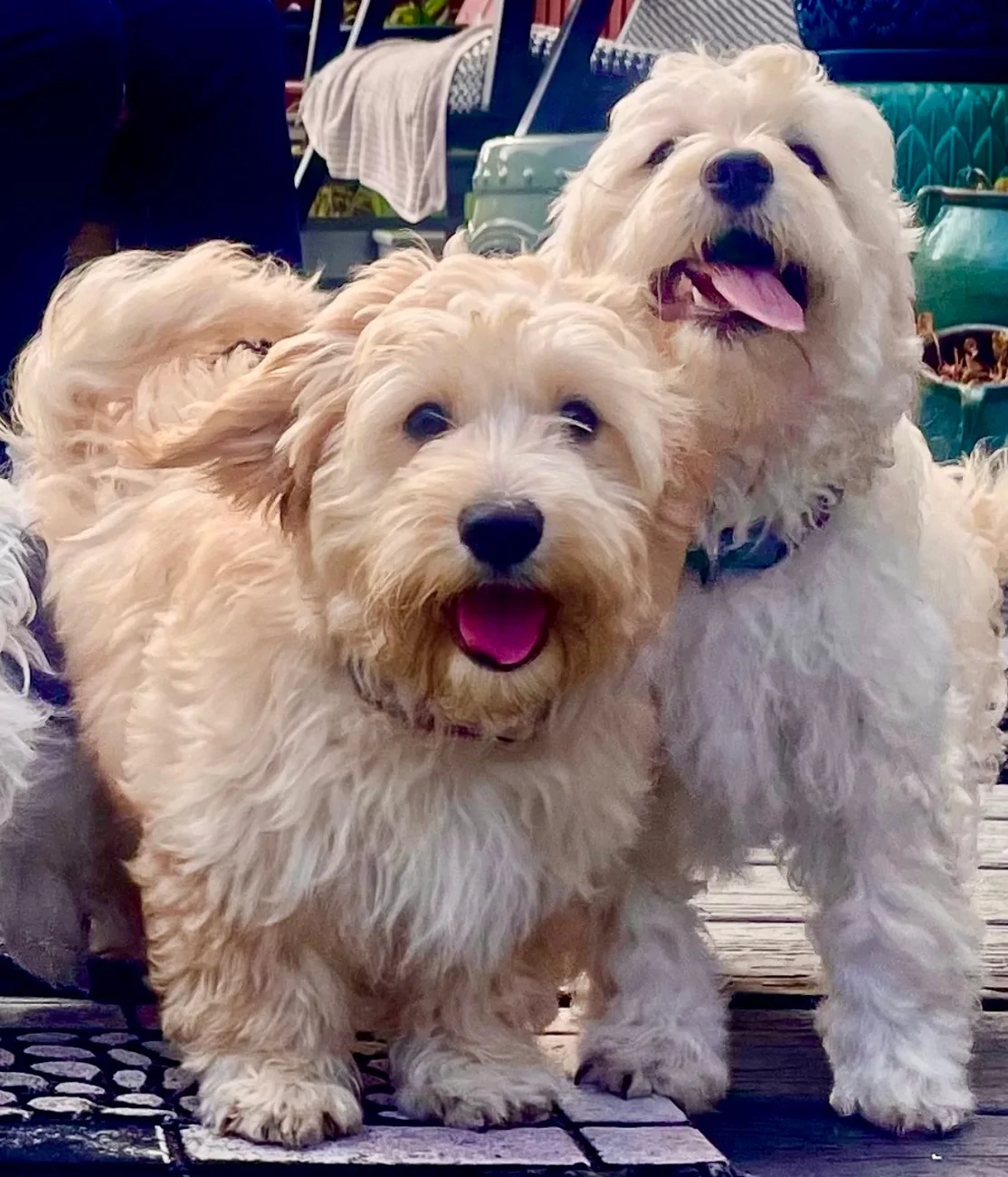 Ford F-150 Lightning Pics of Lightning Trucks Doing Truck Things. Post Yours! 📸 IMG_0501