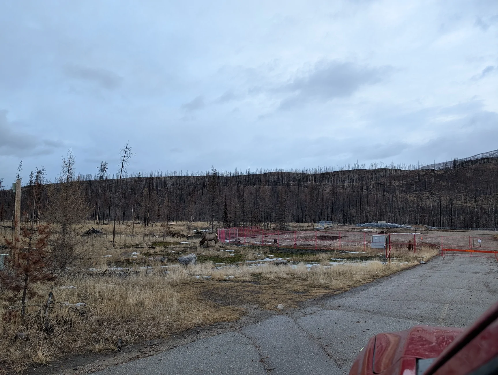 Ford F-150 Lightning Just completed longest trip, 5,461 miles PXL_20260319_144036774.MP