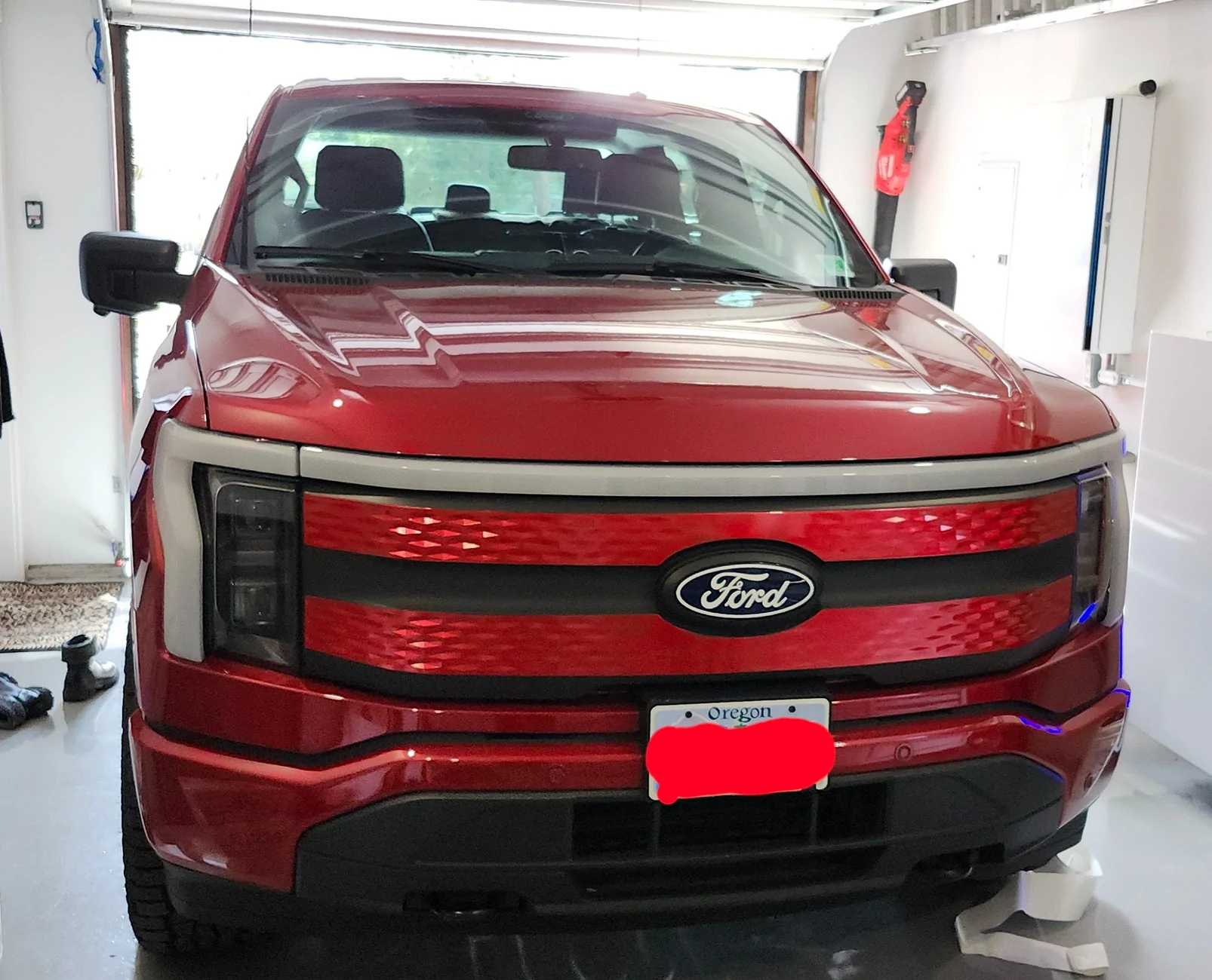 Ford F-150 Lightning Little less black at the front 1000011262