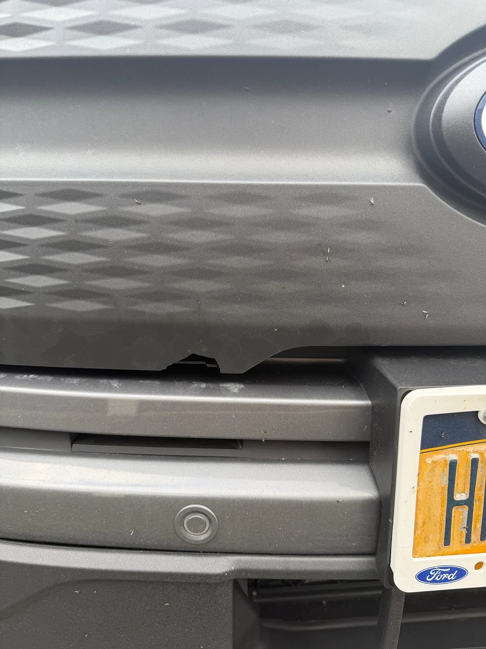 Ford F-150 Lightning Lightning Grill damage - fix / replacement? IMG_1066