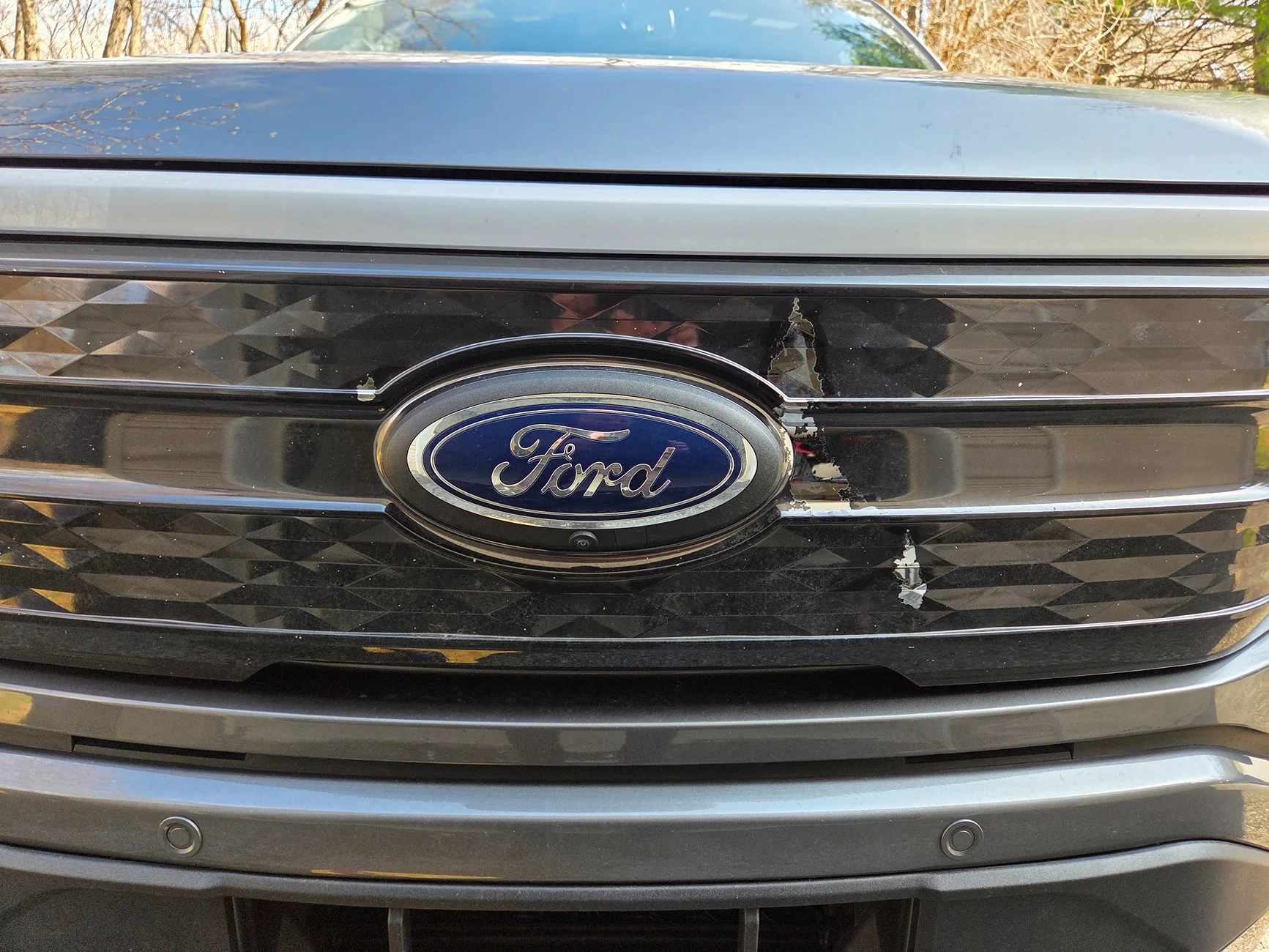 Ford F-150 Lightning Paint Peeling 12095