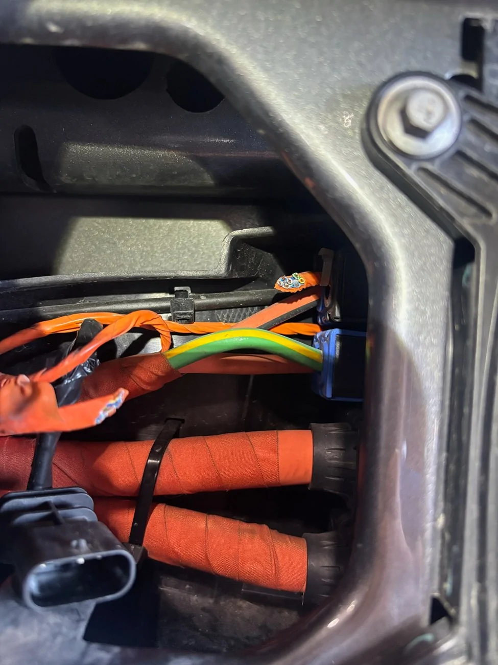 Ford F-150 Lightning Squirrel Chewed Through Charging Wires 0b27cc8f-f6ff-44d1-8be9-83764324a160