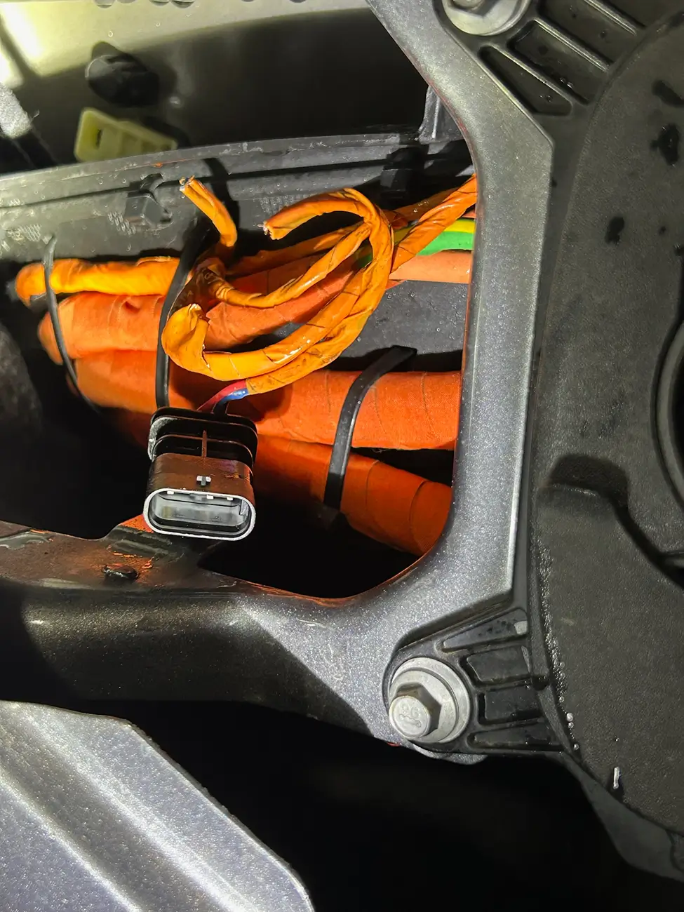 Ford F-150 Lightning Squirrel Chewed Through Charging Wires pastedImag