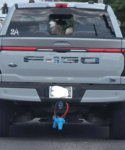 Ford F-150 Lightning NEMA 14-50 receiver hitch cover - 3D print {filename}