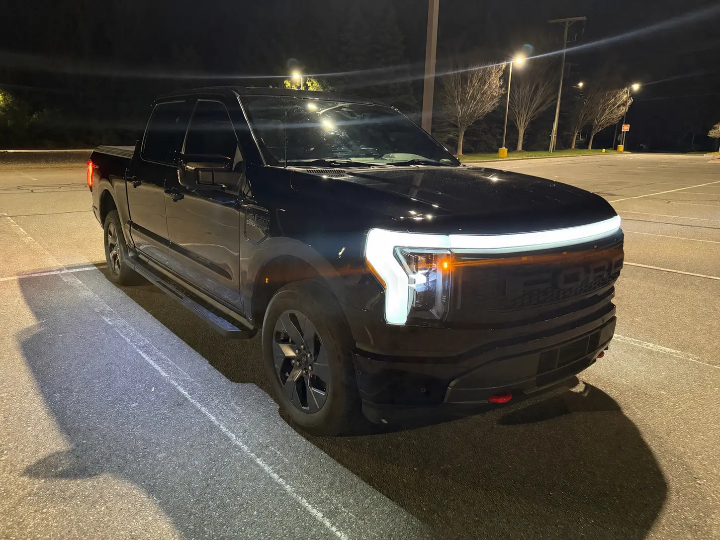 Ford F-150 Lightning Painted Lightning Badge Overlays 89D1E99B-E5FD-4AEB-BFBF-DEBE29732946