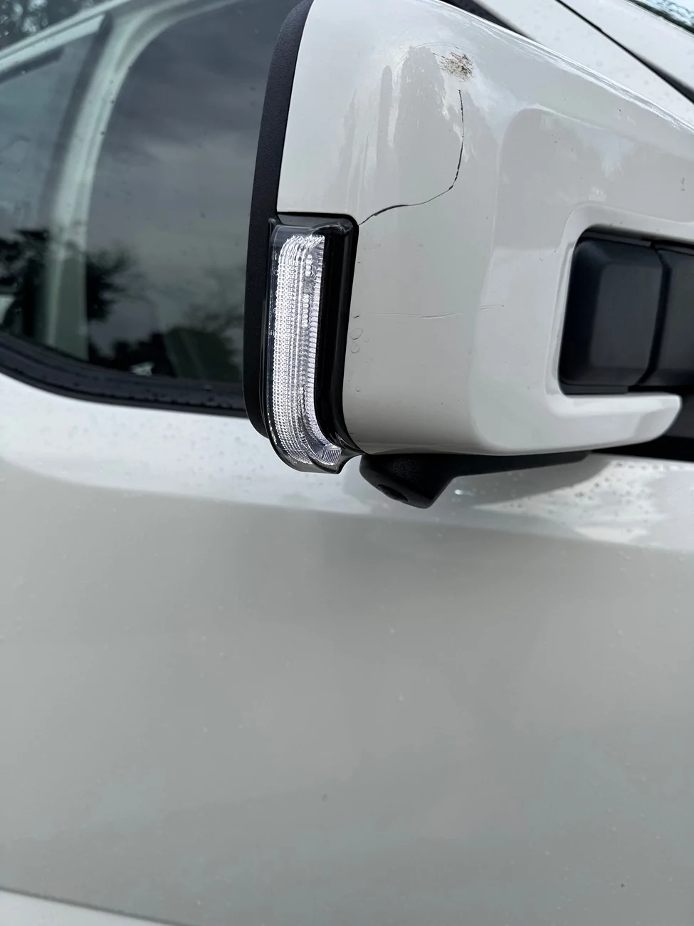 Ford F-150 Lightning Side Mirror LED eBay Raptor style lights IMG_4215
