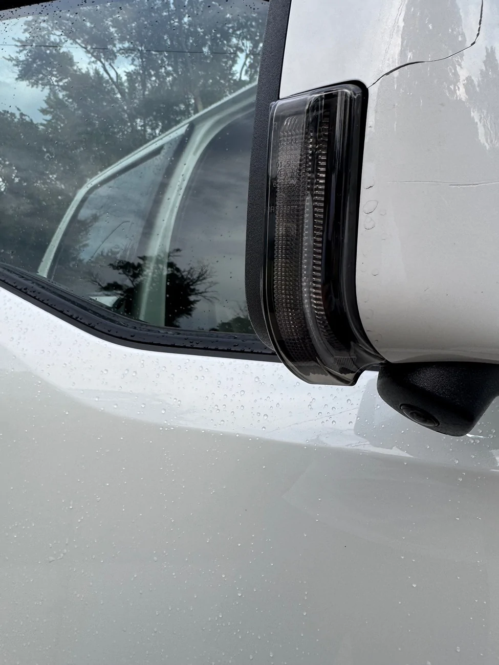 Ford F-150 Lightning Side Mirror LED eBay Raptor style lights IMG_4213