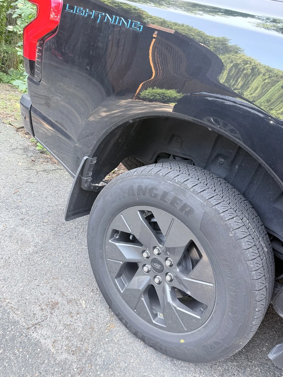 Ford F-150 Lightning Pretty bad blow out with a lot of damage IMG_6270