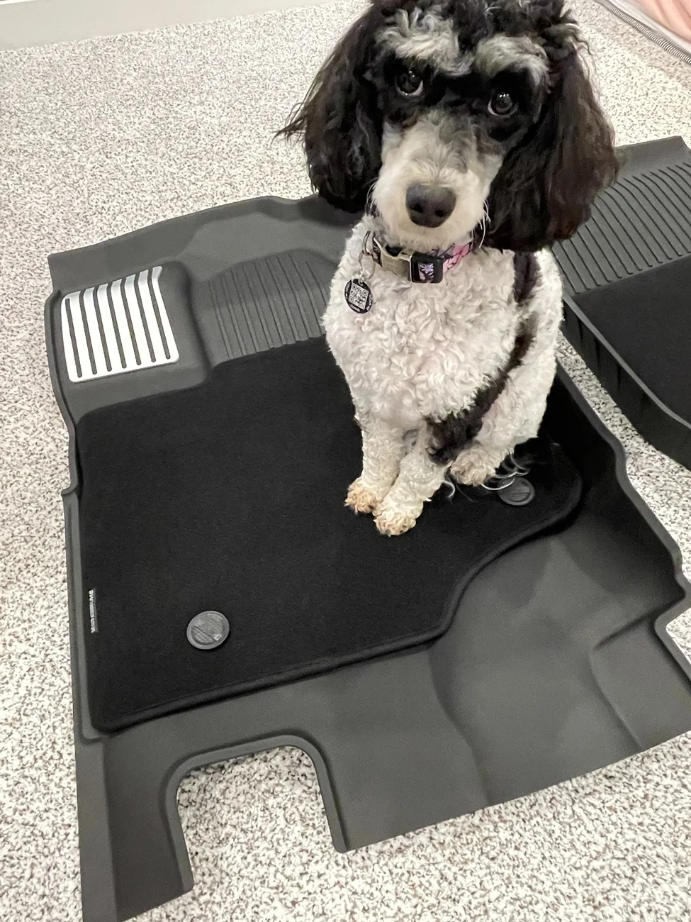 Ford F-150 Lightning 3W Liners floor mat review IMG_3580