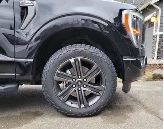 Ford F-150 Lightning Want to Buy - 20" Sport Wheels wheel_tir