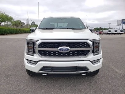 Ford F-150 Lightning ISO Ecoboost Bumper Insert 23D04204-C1EA-4875-B244-8C6E819F79F5