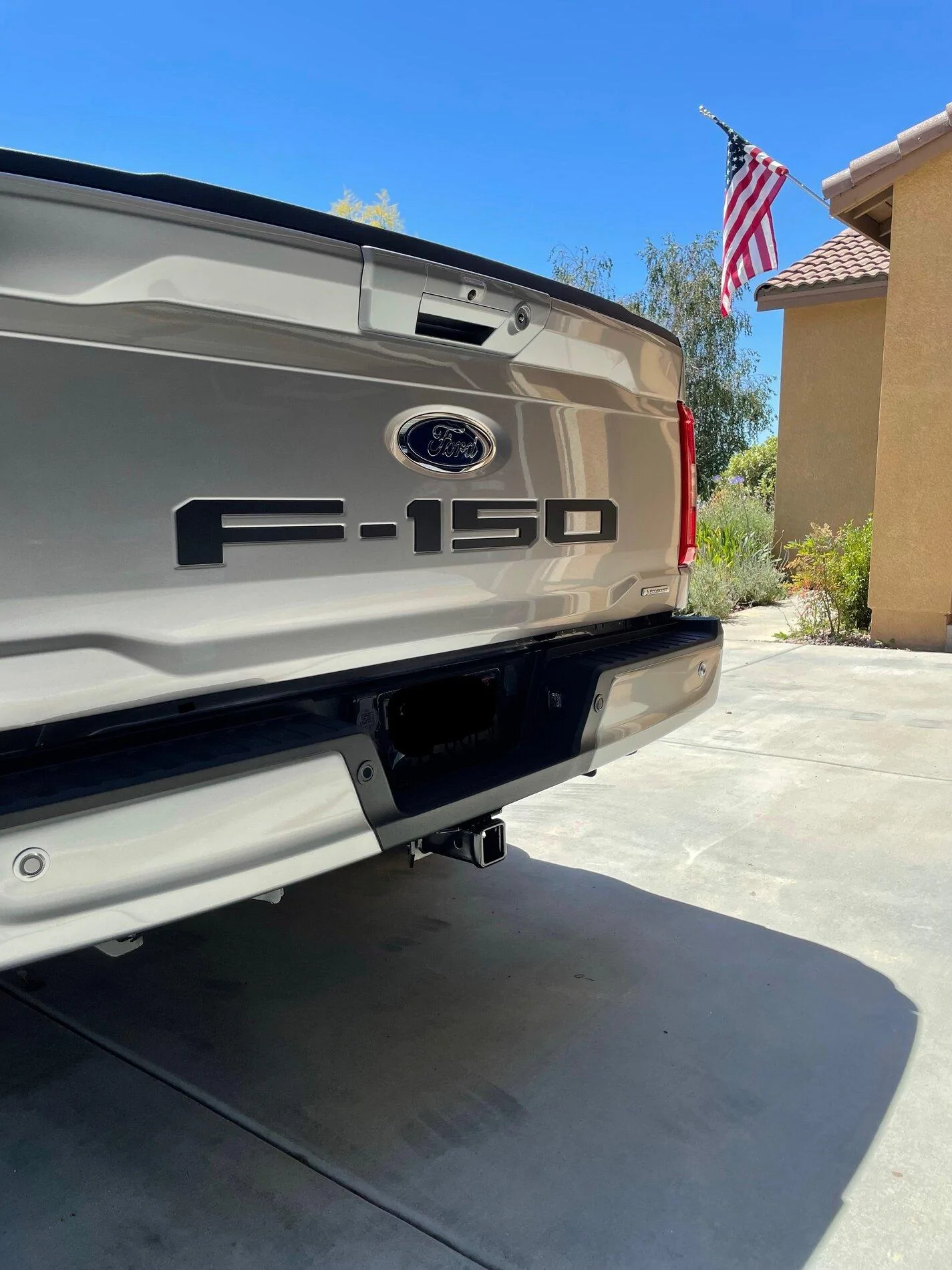 Ford F-150 Lightning 3D tailgate lettering IMG_2238 (1)