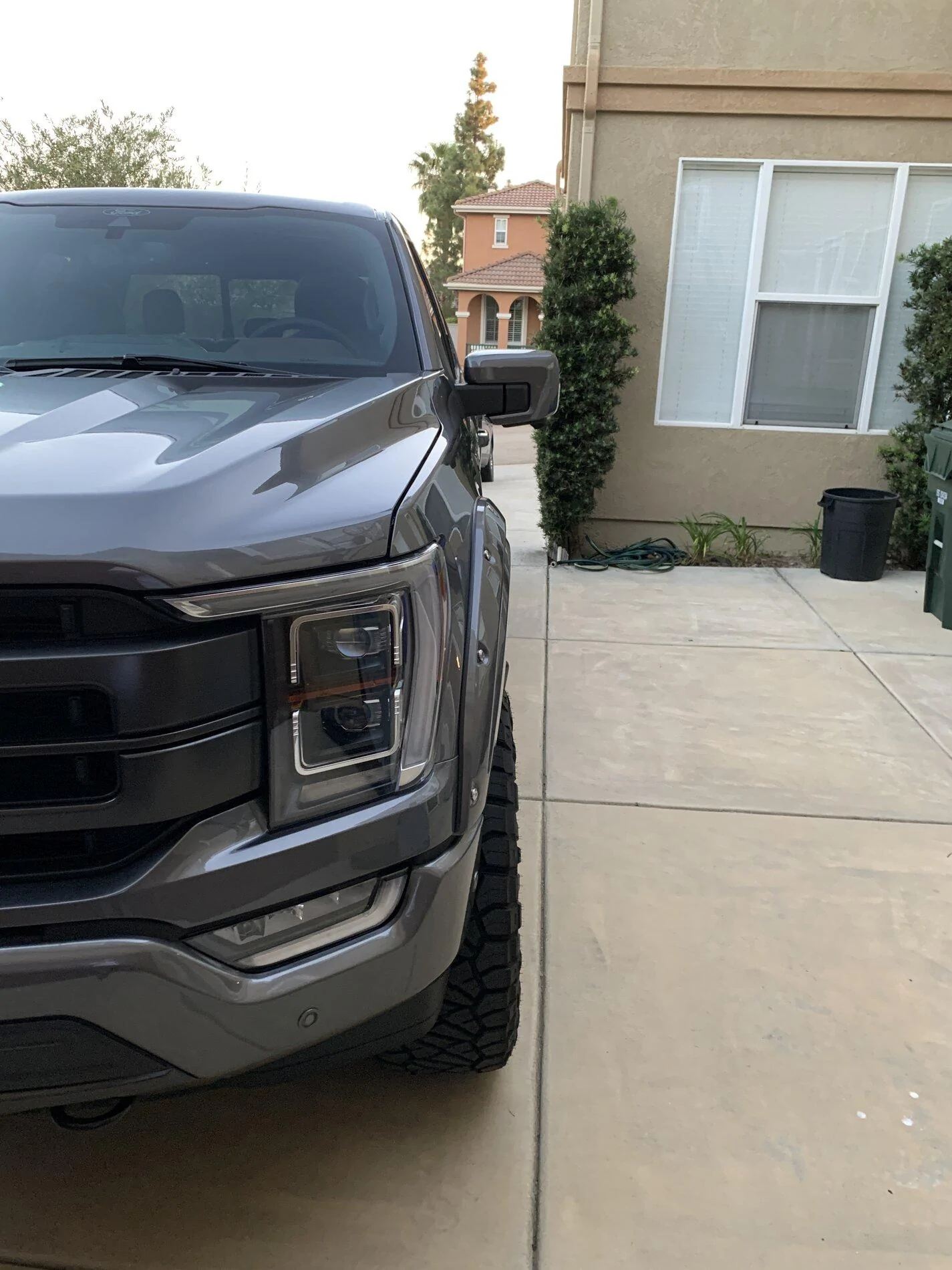 Ford F-150 Lightning Bushwacker Fender Flares? IMG_7991