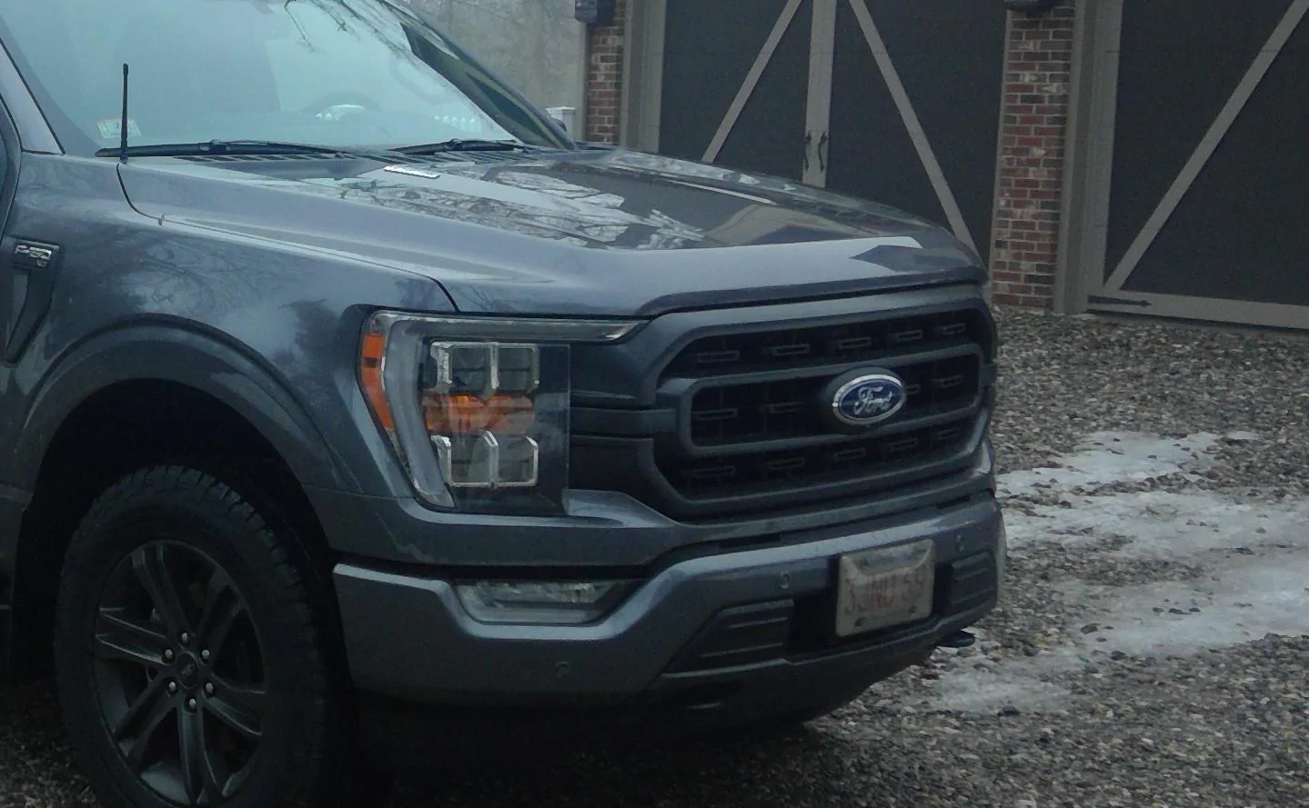 Ford F-150 Lightning 2021 f150 XLT GRILL $15- WIN_20210227_16_52_39_Pro (2)