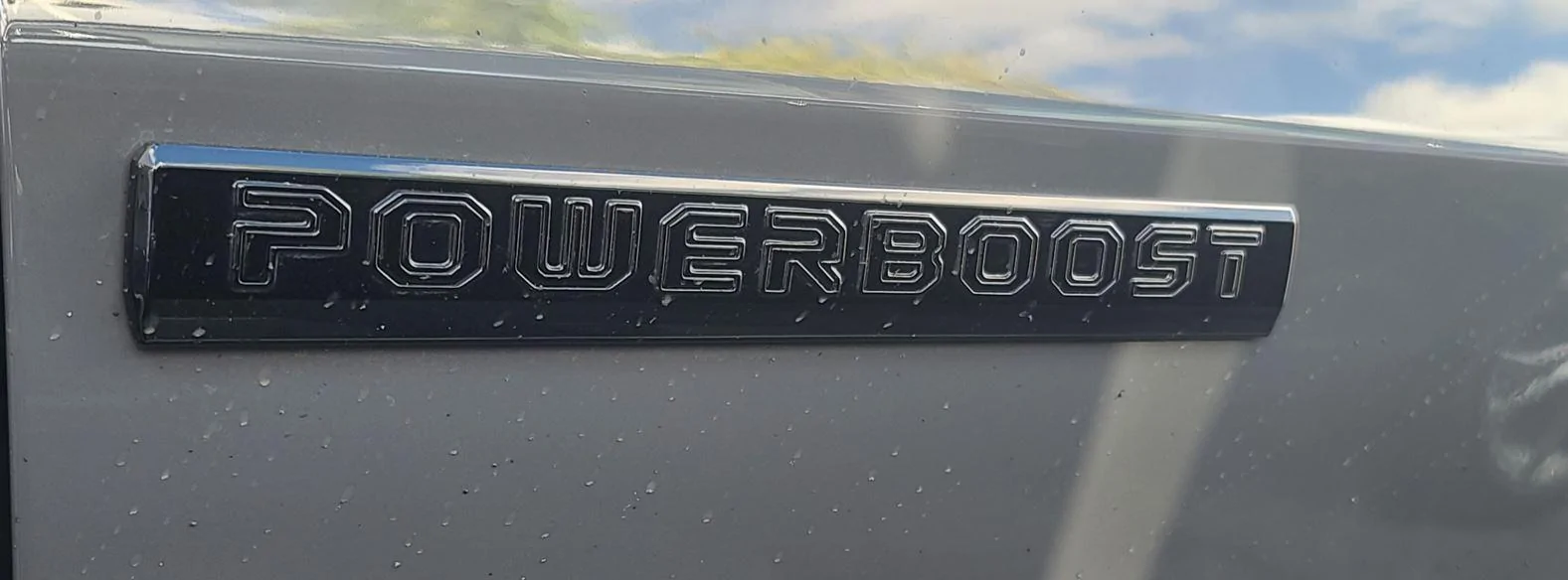 Ford F-150 Lightning Thinking about removing the Powerboost emblems Emblems