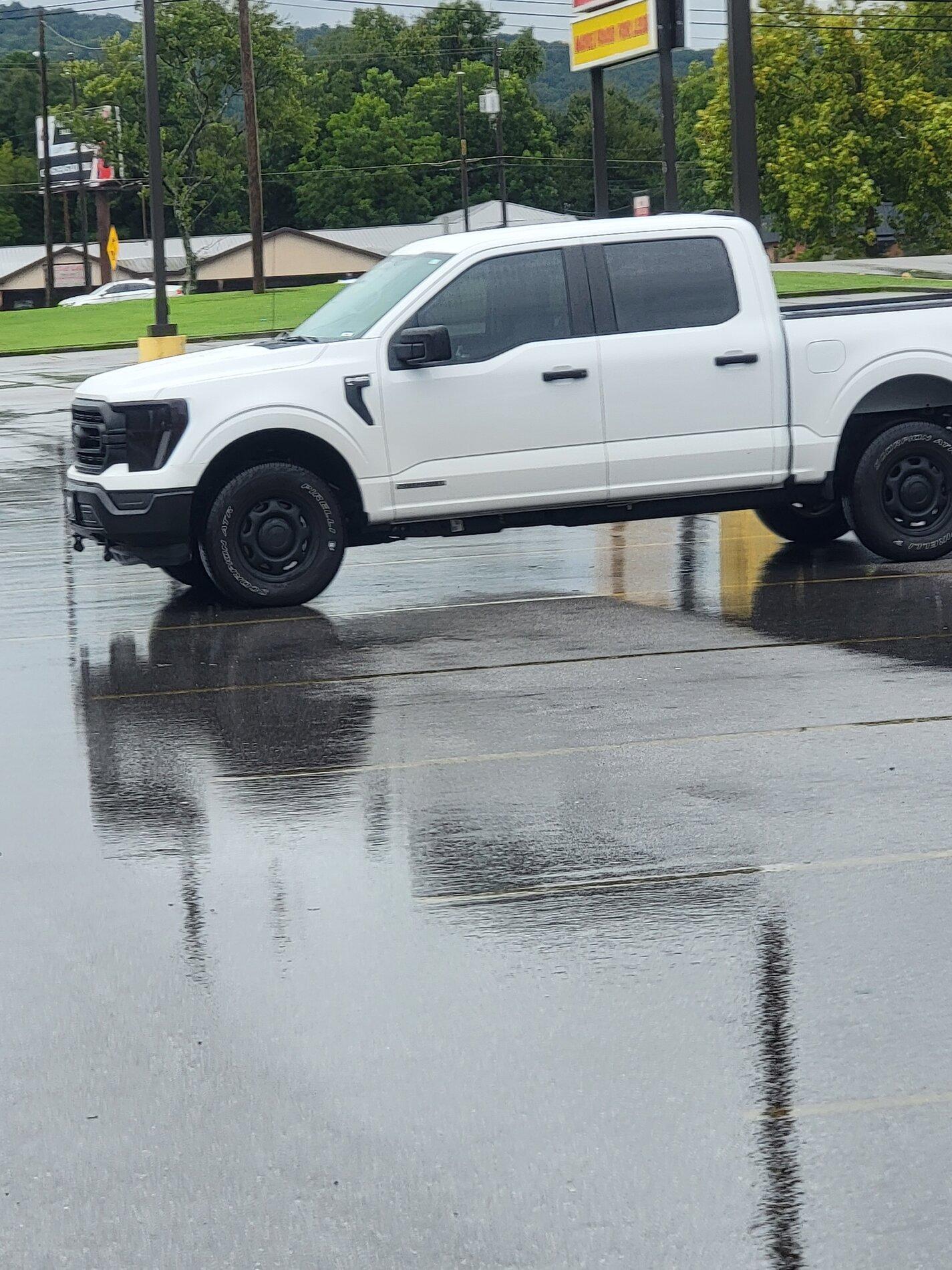 Ford F-150 Lightning Partial Chrome Delete 20210831_134945