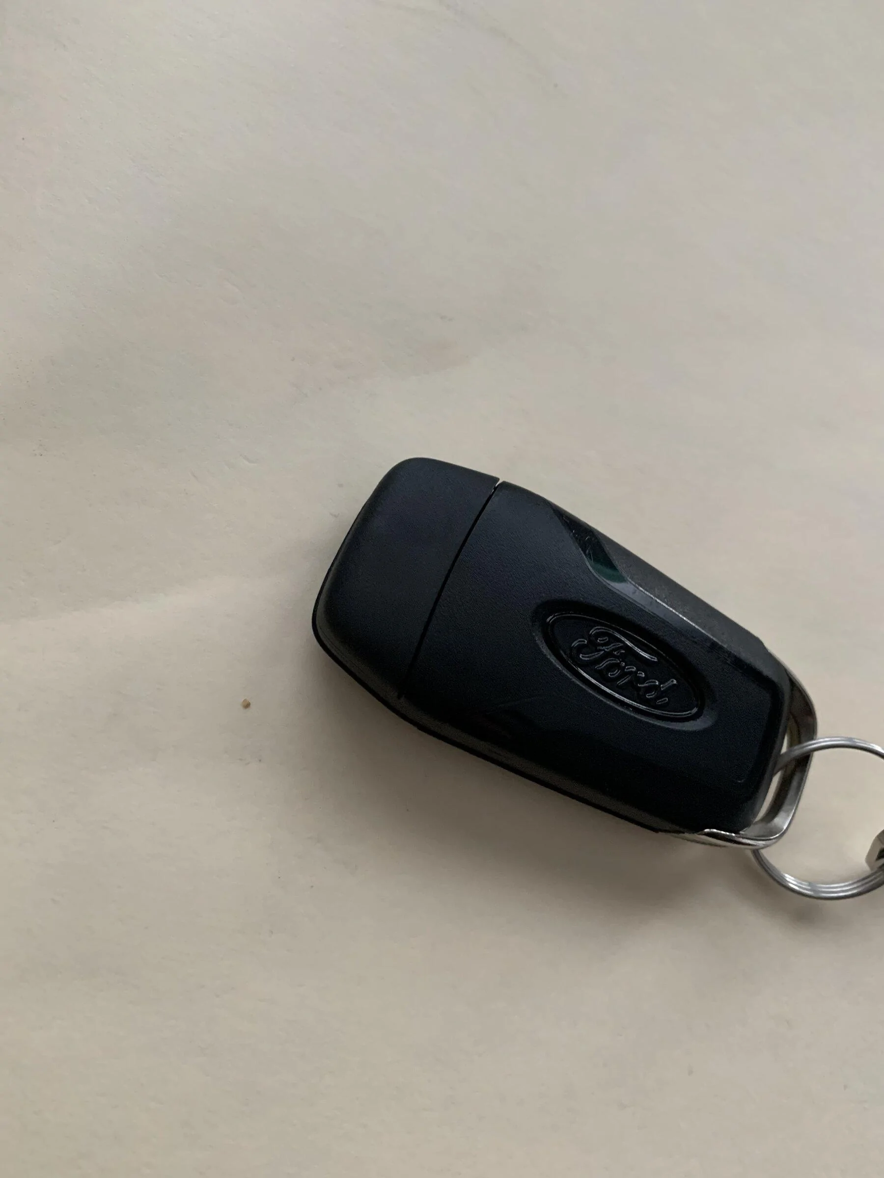 Ford F-150 Lightning Fun easy project! Painted the Ford oval on my key. 6D7AD3C5-07C1-4BB4-95C3-26BBC95BC269
