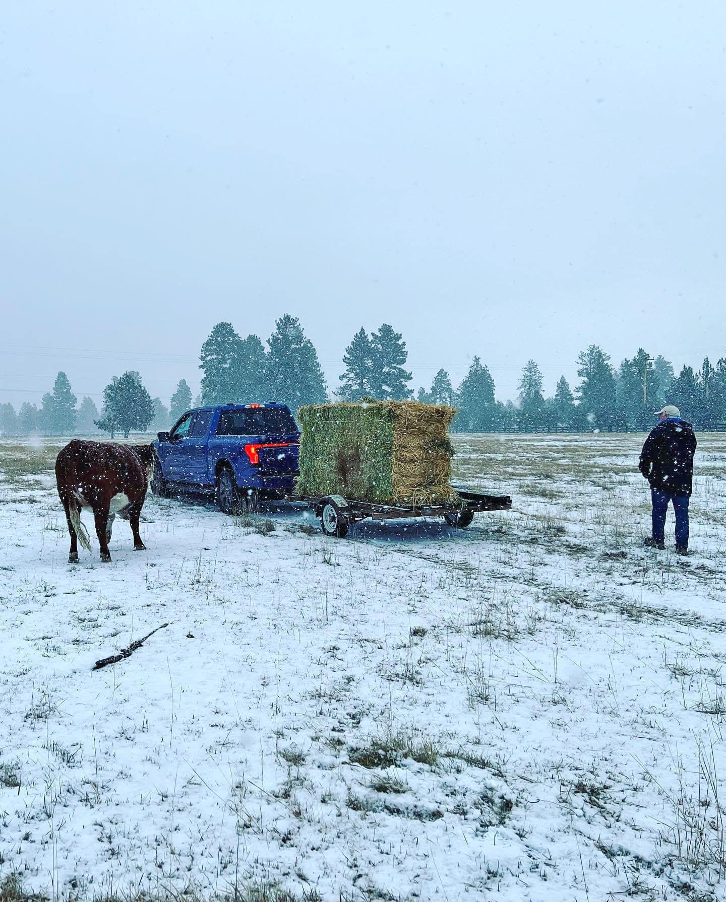 Ford F-150 Lightning Atlas Blue, Rapid Red & Antimatter Blue F-150 Lightning Pics From Official Ford Commercial Shoot 2022 F150 Lightning Atlas Blue & Rapid Red Metallic Pics 7
