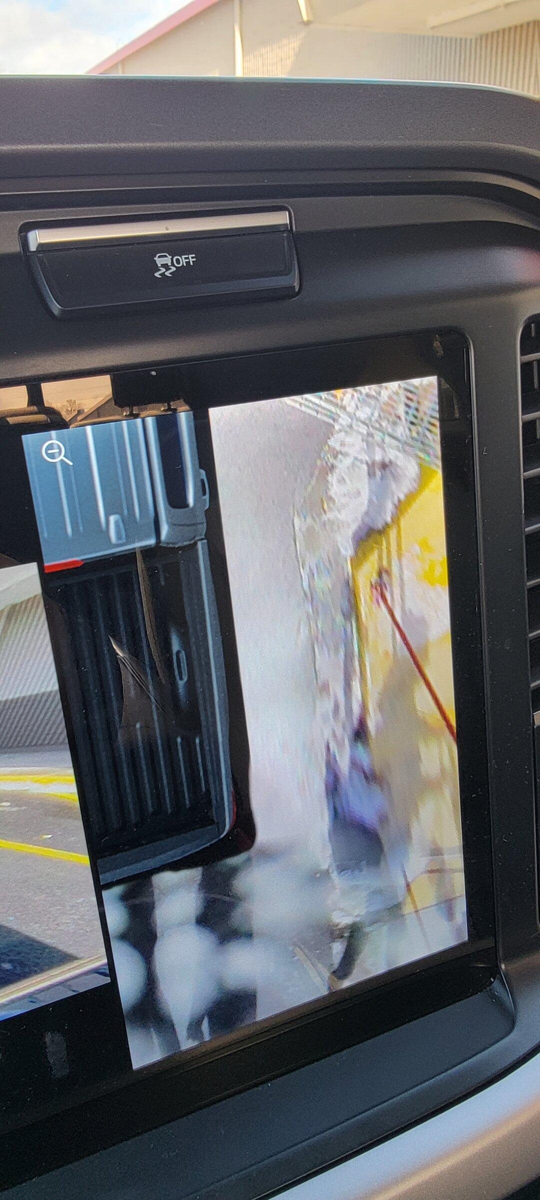 Ford F-150 Lightning new 360 camera trick? 2022-01-09 13.14.56