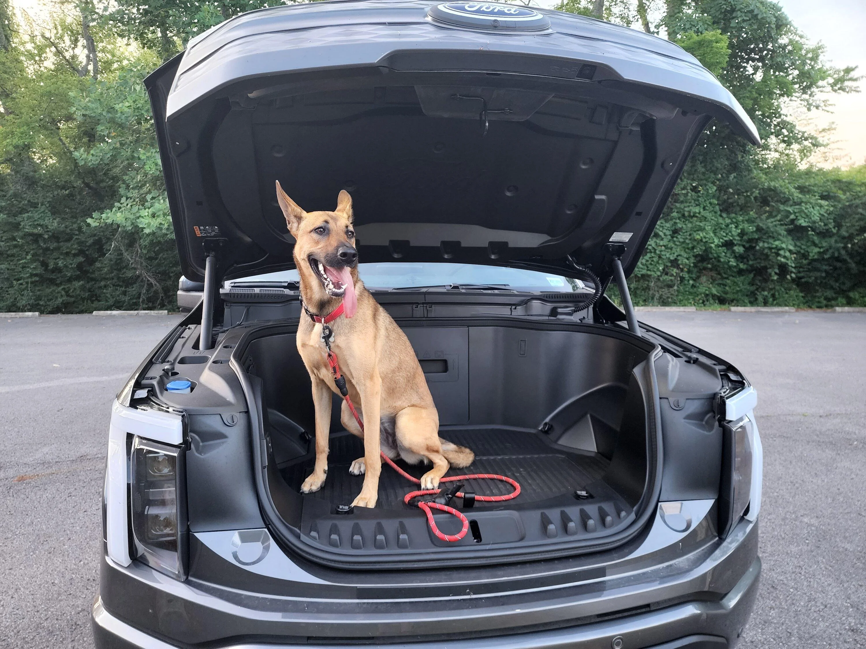 Ford F-150 Lightning Post a pic of your Dog in your new Lightning 😁 20220704_195403