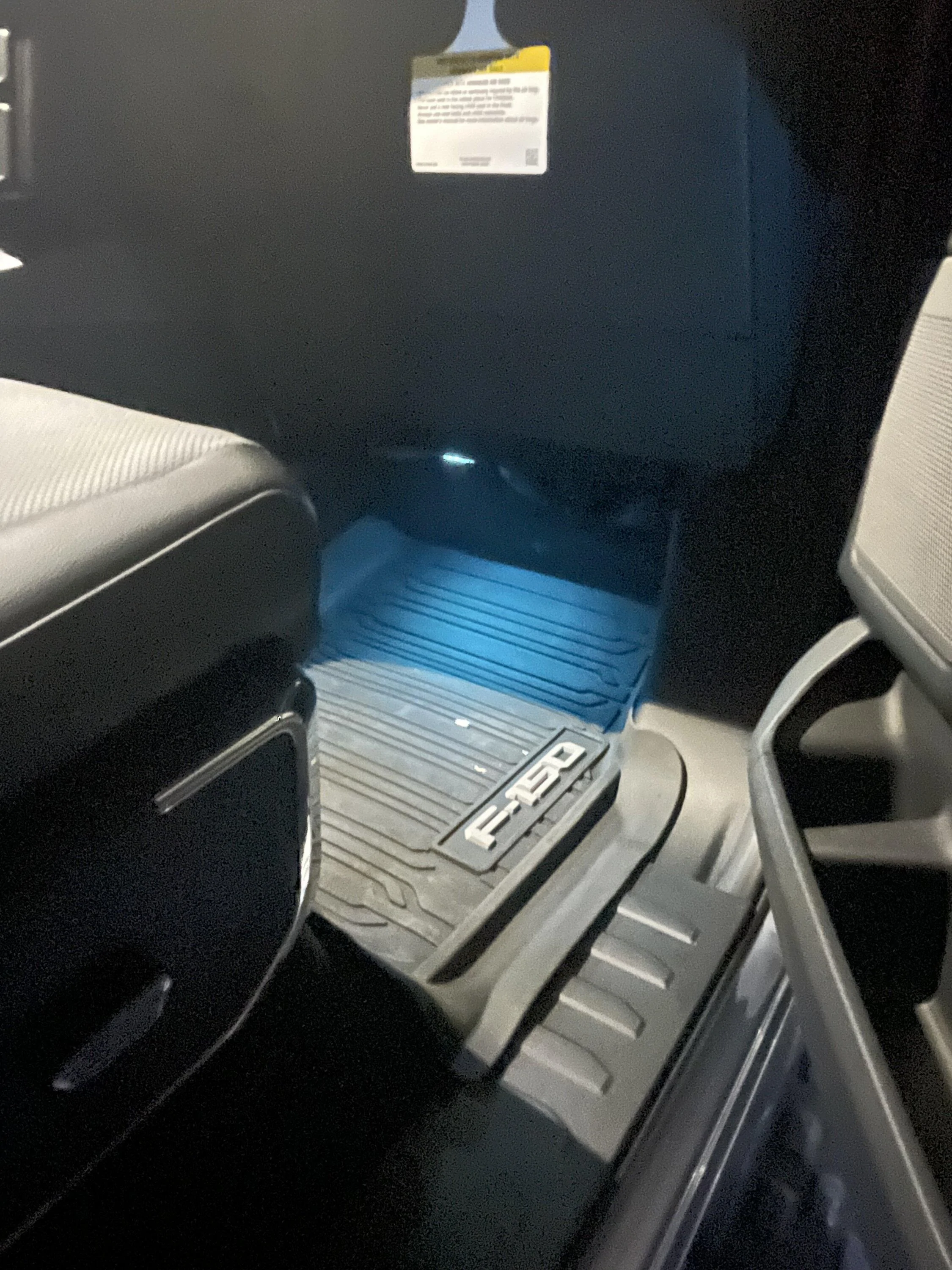 Ford F-150 Lightning Floor Mats available for order from factory 17867827-7EE0-432D-B9D8-DCFD3F3BEC40