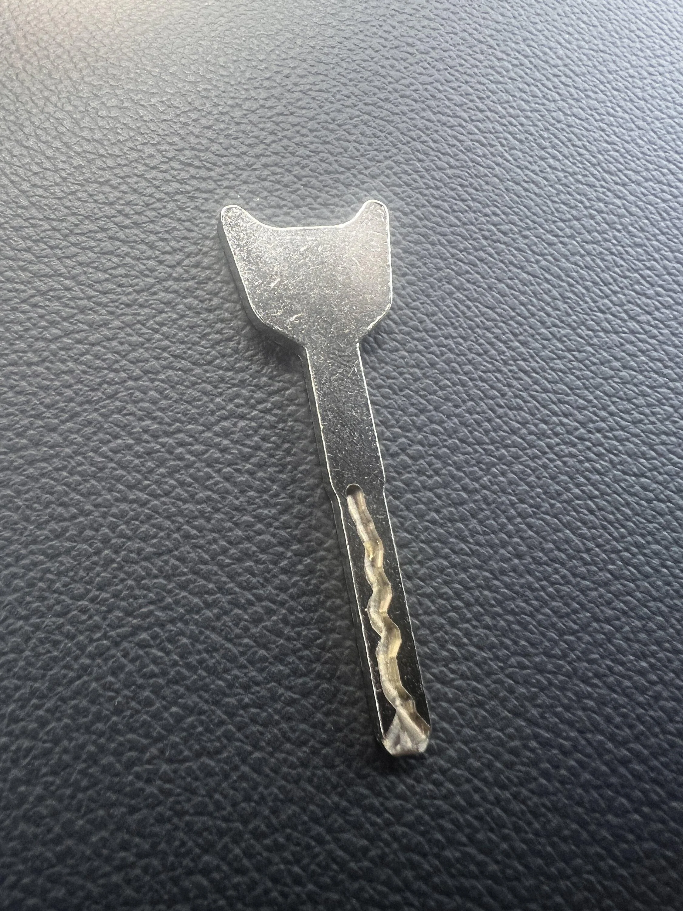 Ford F-150 Lightning What’s the deal with this physical key? 8763CB55-3F62-44FC-AB4E-79A26A637058