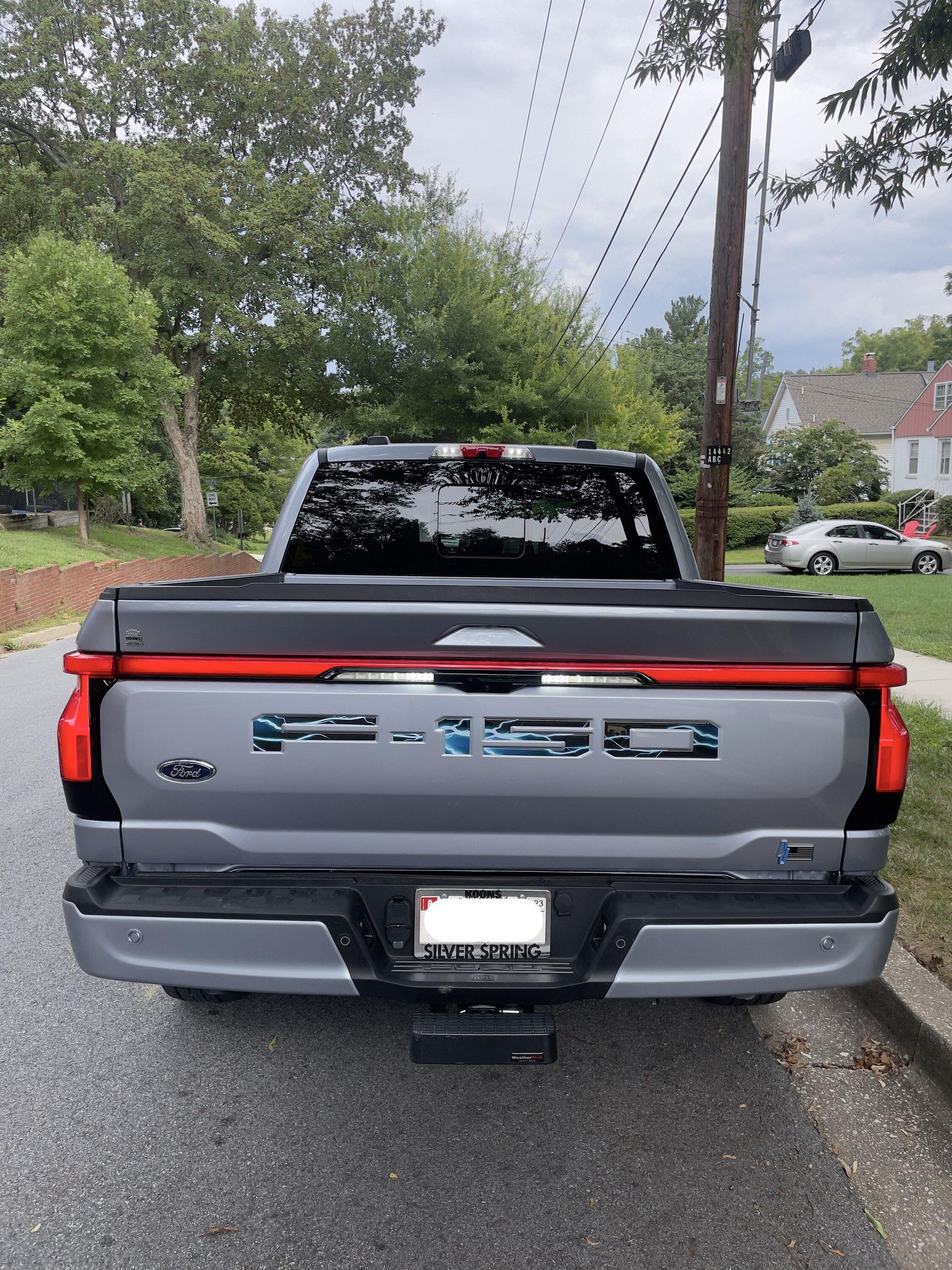Ford F-150 Lightning 🙋‍♂️ What Did You Do To Your Lightning Today? Sherman with Lightning Bolts