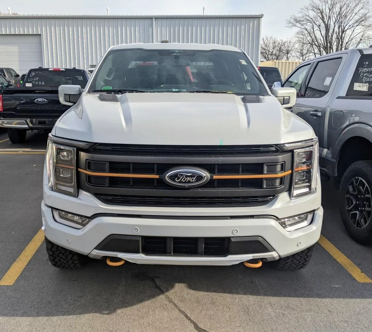 Ford F-150 Lightning AVALANCHE F-150 Lightning Photos & Club 401~2