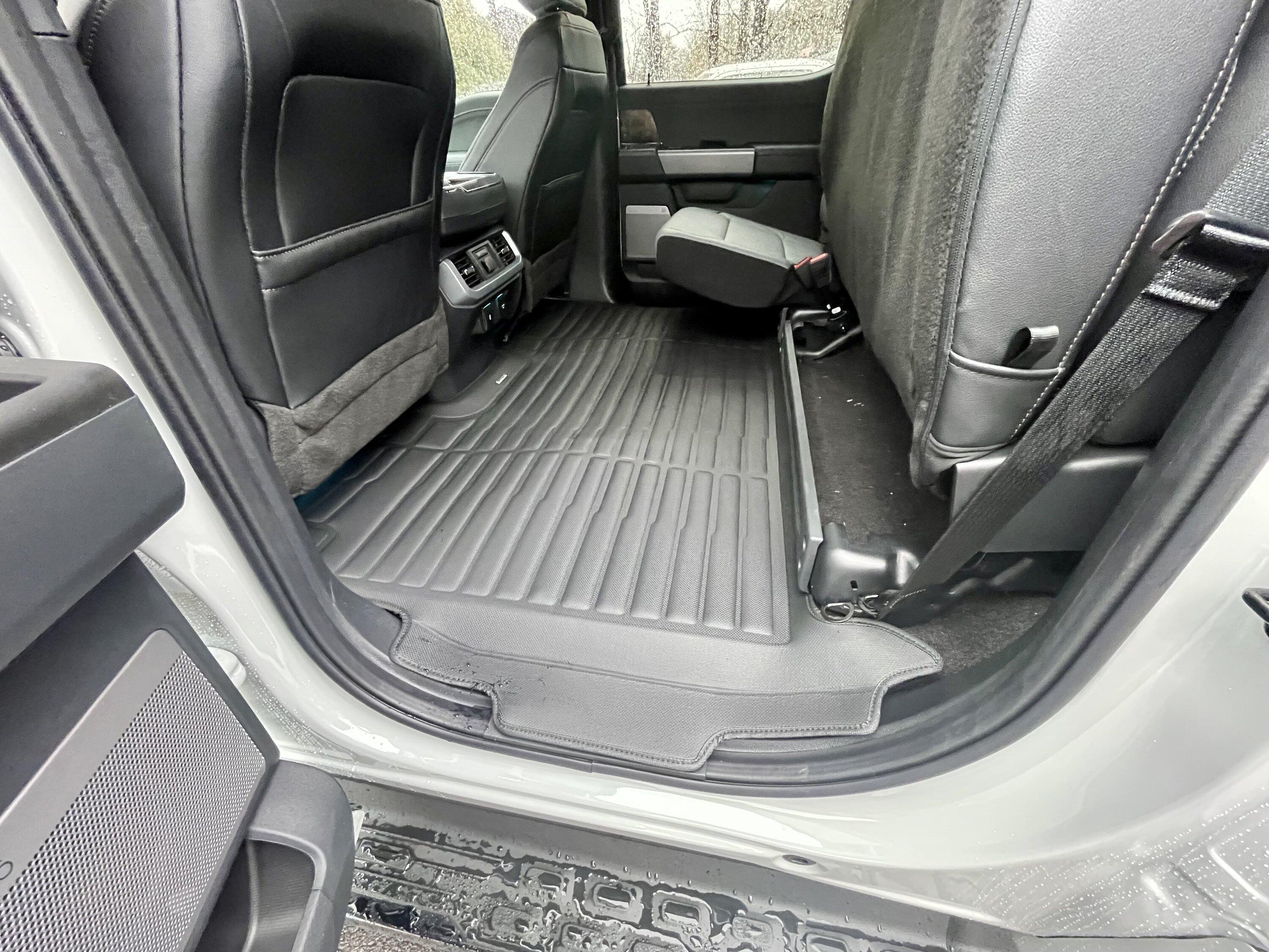 Ford F-150 Lightning Which Floor Mats? IMG_8929