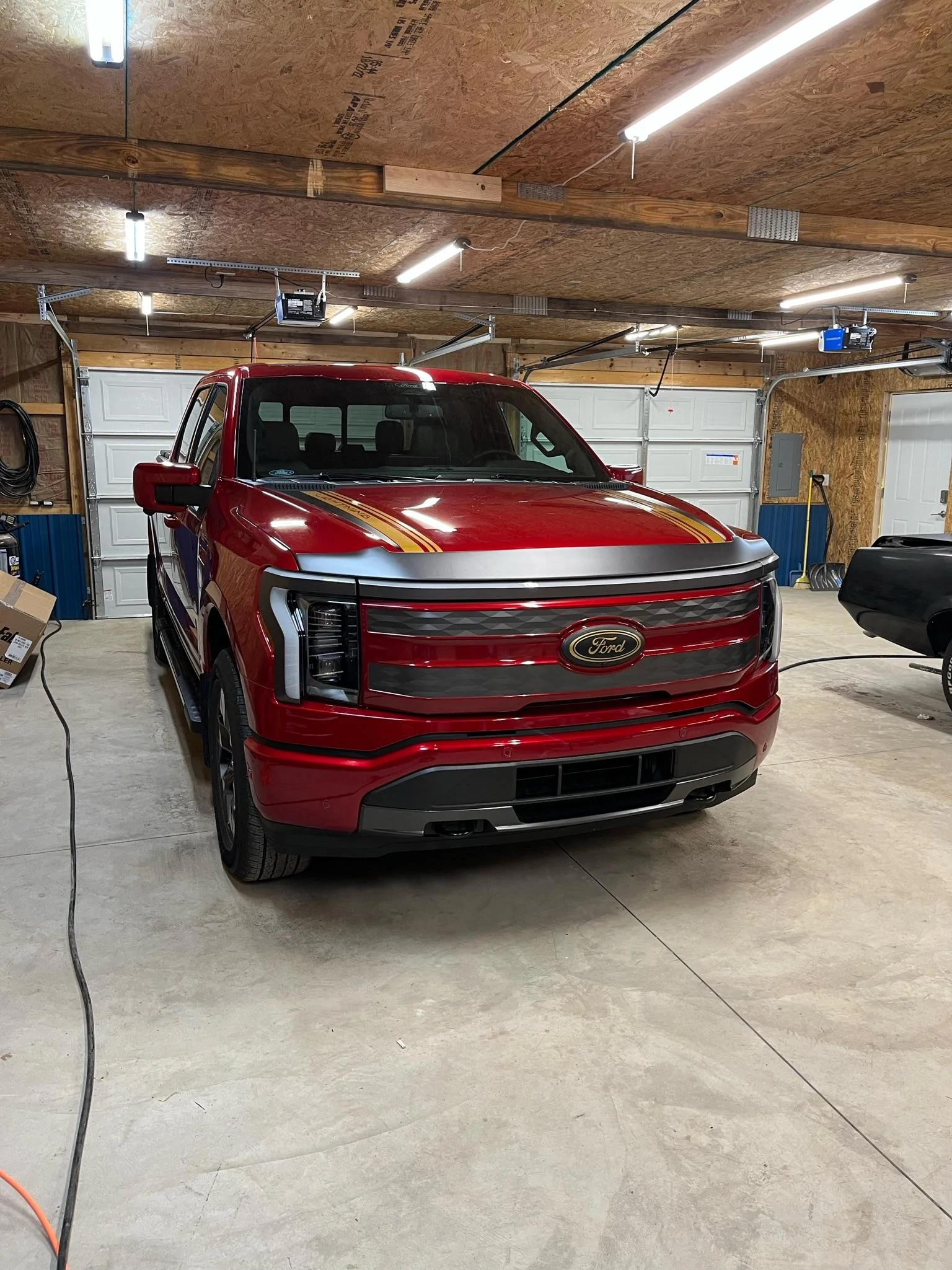 Ford F-150 Lightning Bug guard options? imag