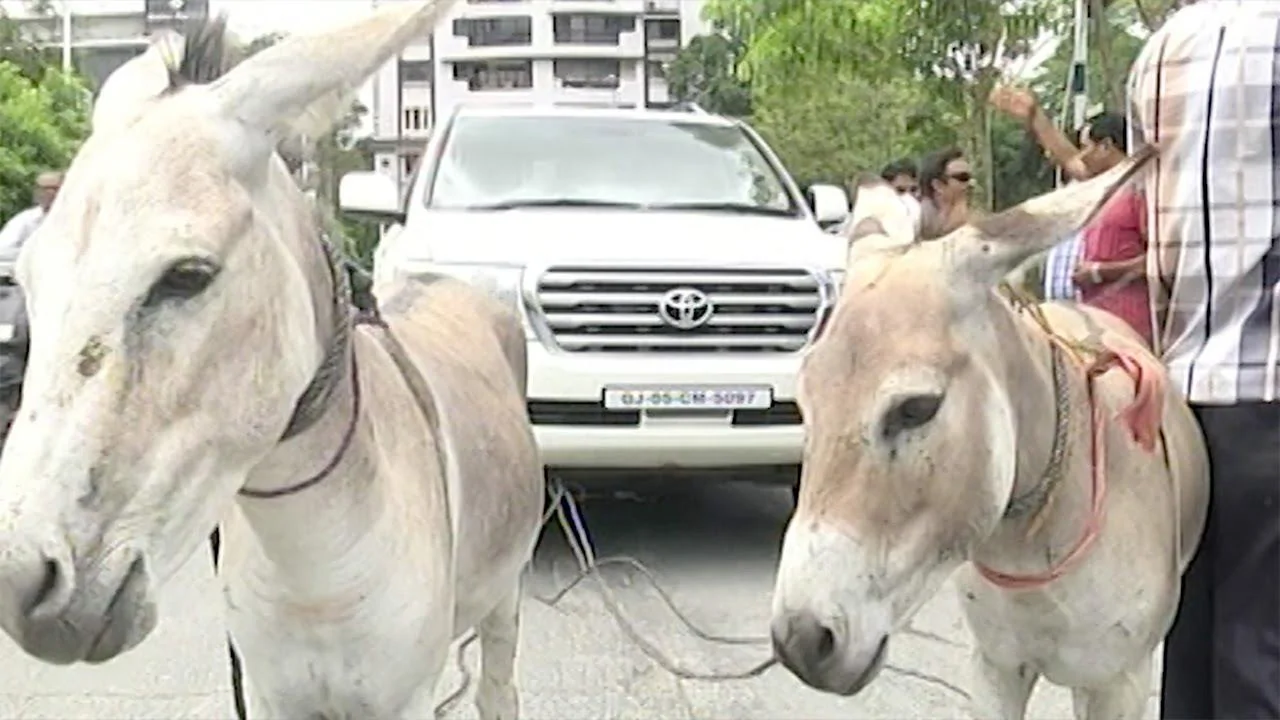 Ford F-150 Lightning Hypermile Challenge (high score: 8.8, life time avg 2.7) 1691361762972