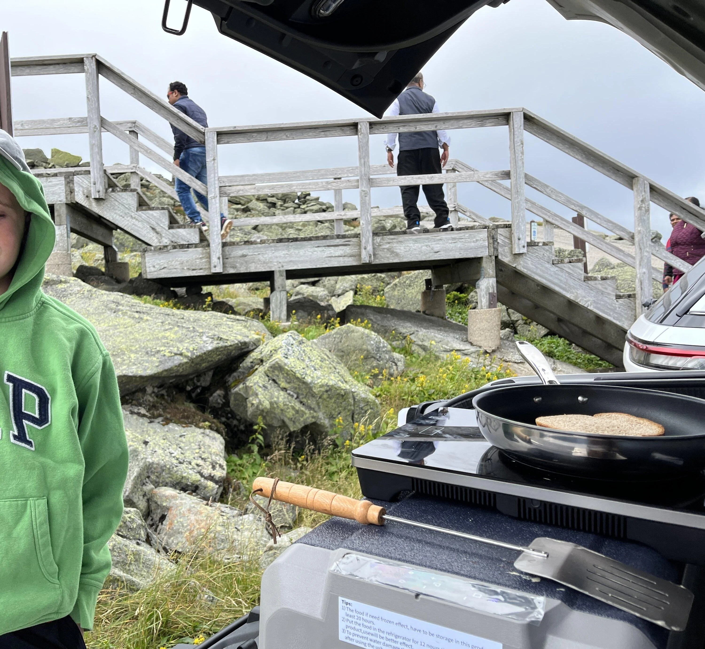 Ford F-150 Lightning Could It Be The First Lightning On Mt. Washington (NH)? 2E40DFC1-9A7F-4FA7-BCBF-78F7AB531A9B