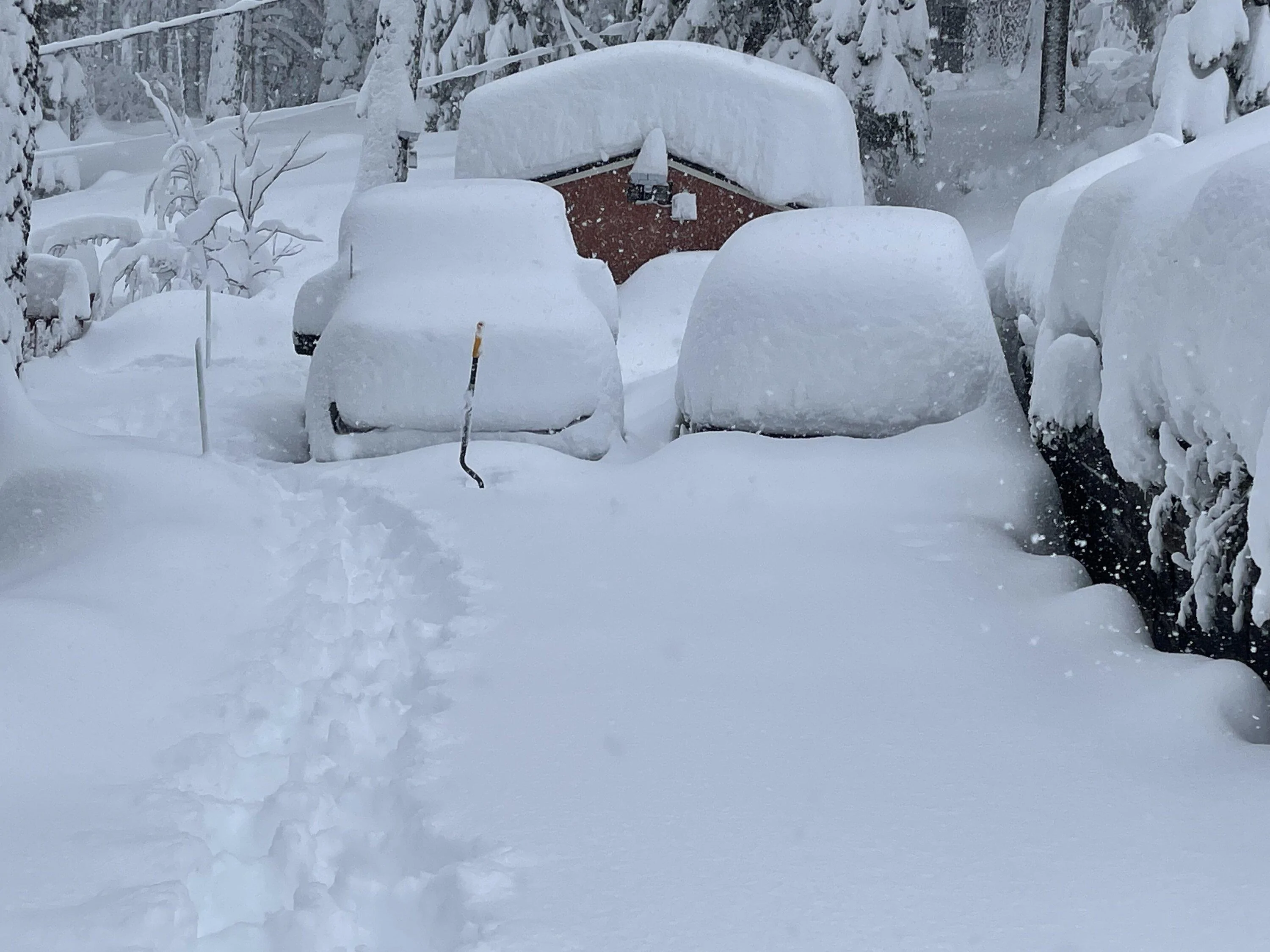 Ford F-150 Lightning Outdoor Pedestal for Extreme Winter? image_50372865