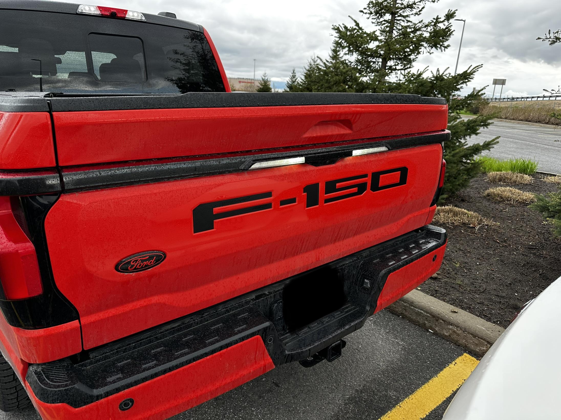 Ford F-150 Lightning Has anyone wrapped their Lightning? IMG_6135