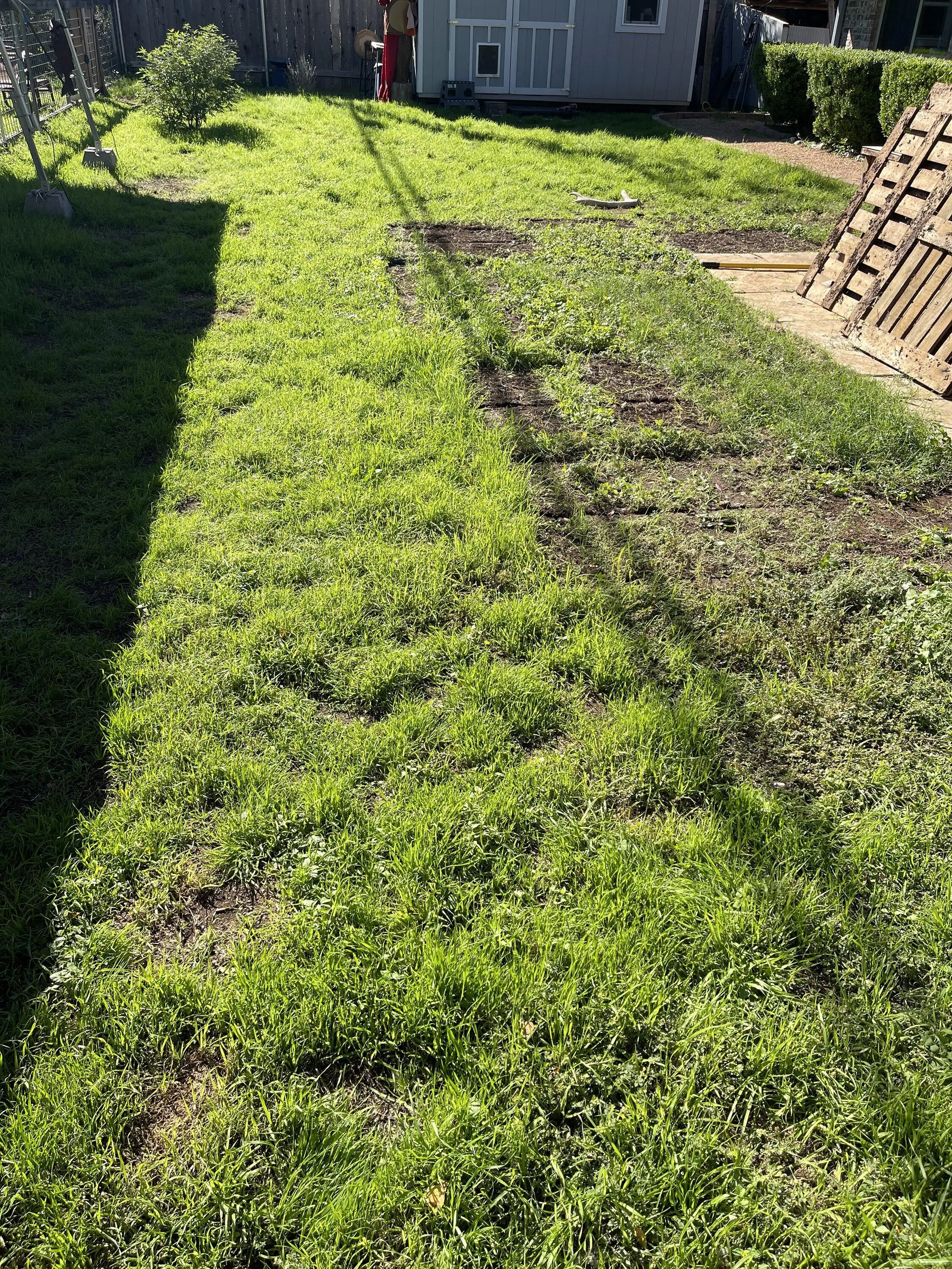 Ford F-150 Lightning Lightning off-grid charging Solar Array Build w/Agrivoltaics IMG_9299