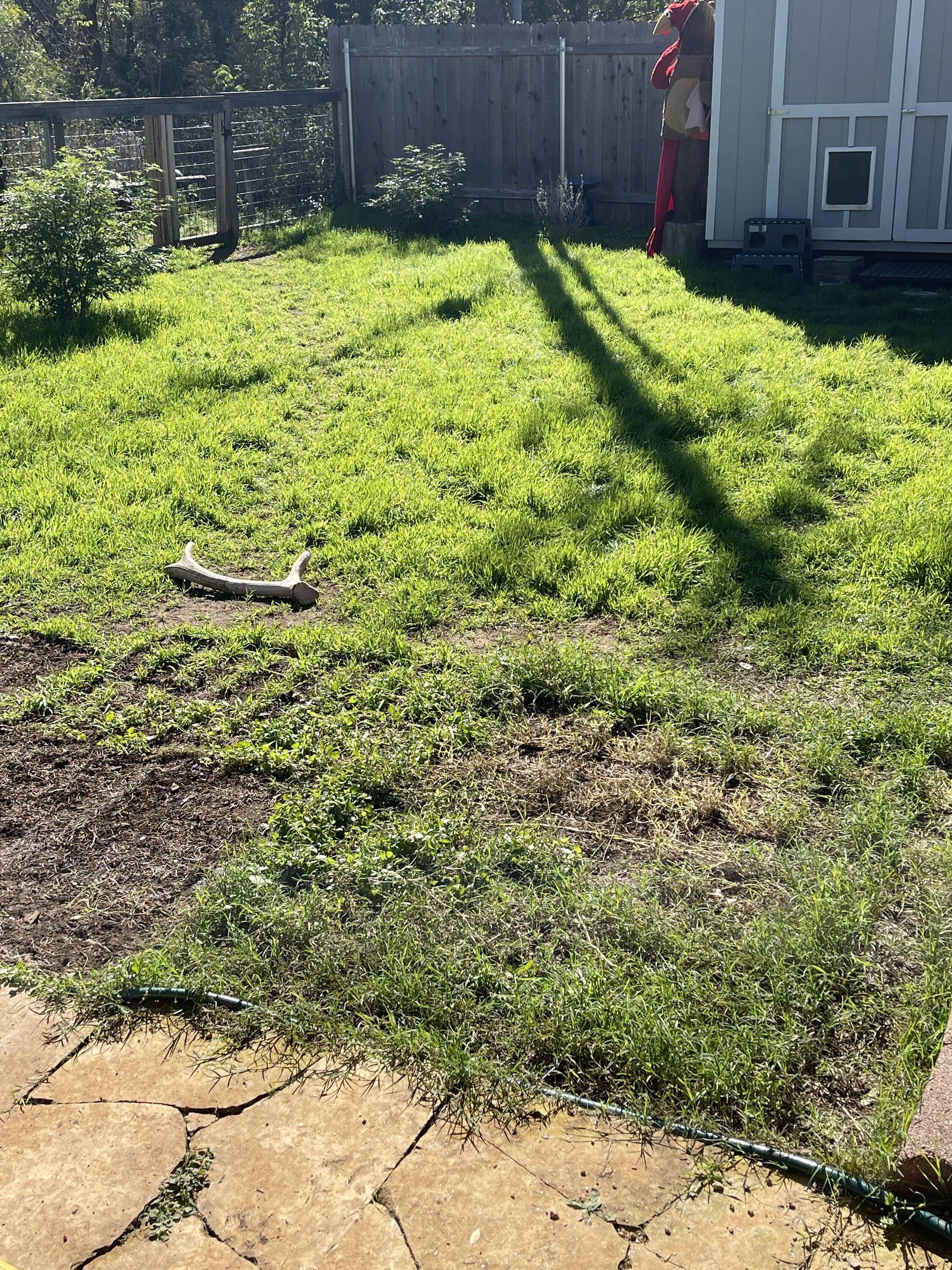 Ford F-150 Lightning Lightning off-grid charging Solar Array Build w/Agrivoltaics IMG_9300