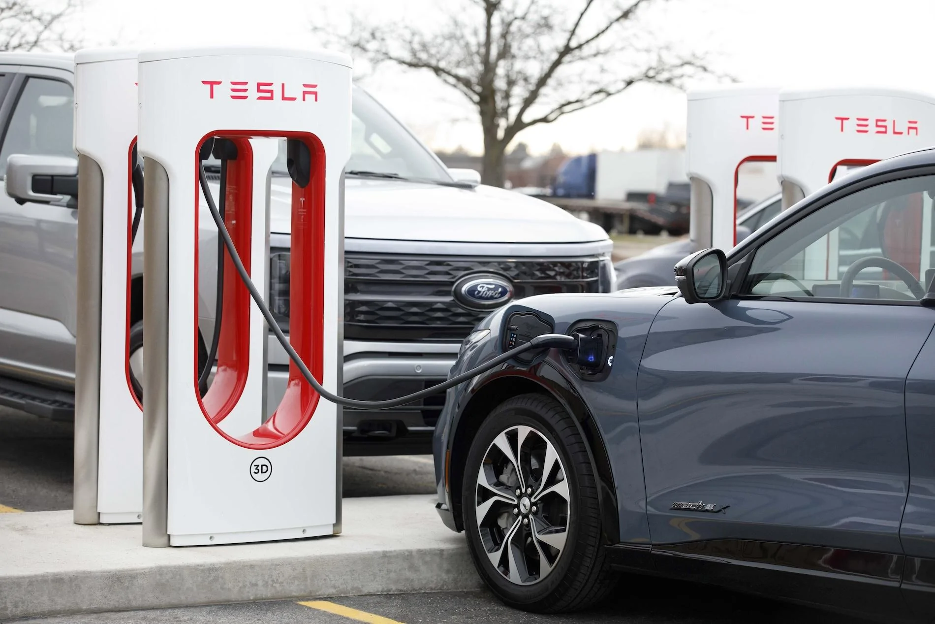 Fast Charging Adapter (NACS) 5.jpg