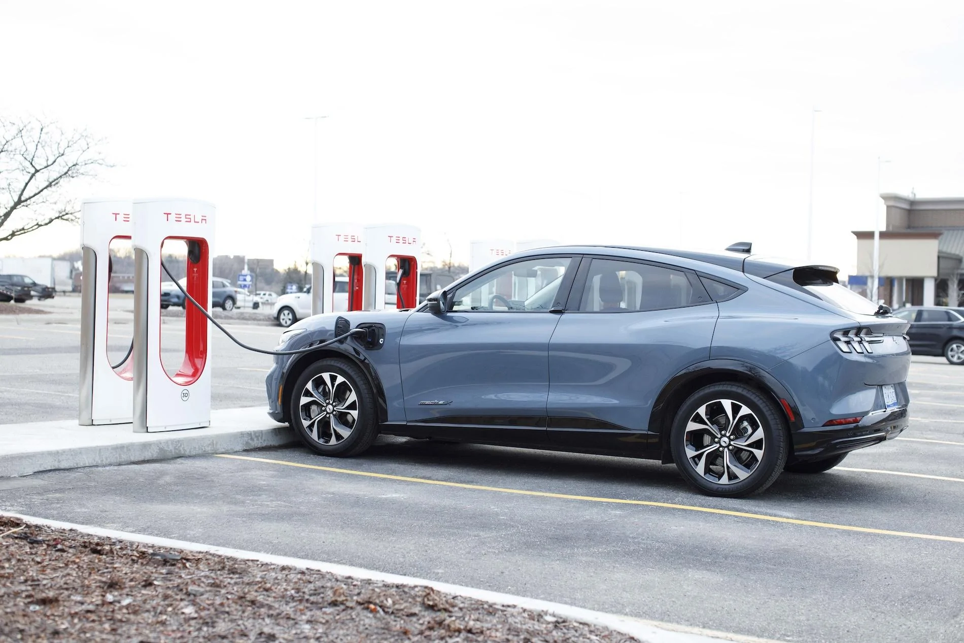 Fast Charging Adapter (NACS) 4.jpg