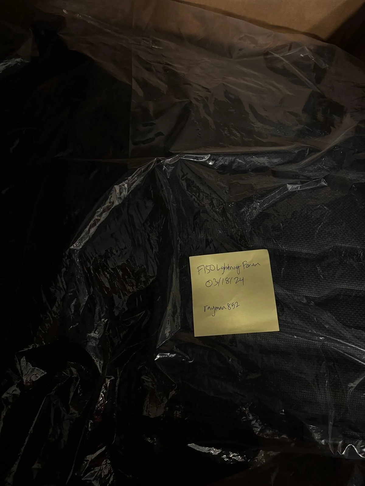 Ford F-150 Lightning Tuxmat - Rear Floormat ($100) IMG_0915