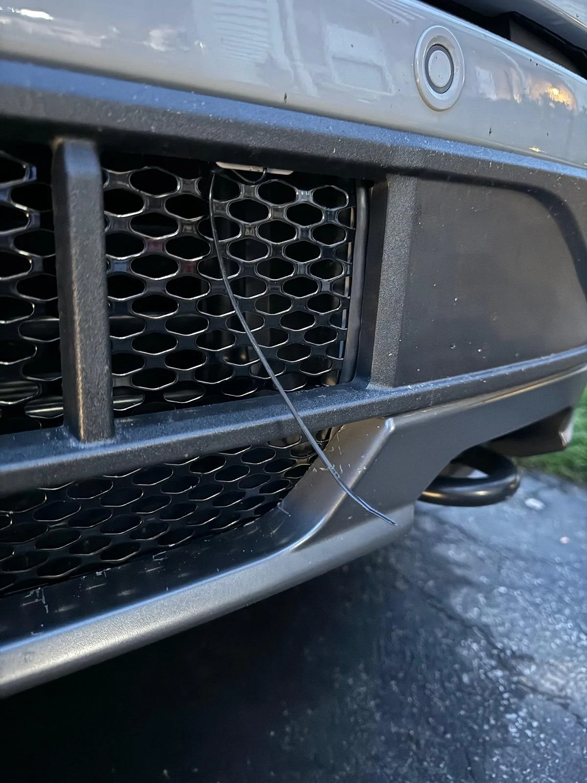 Ford F-150 Lightning Adding grill mesh ahead of active shutters in bumper? IMG_1260