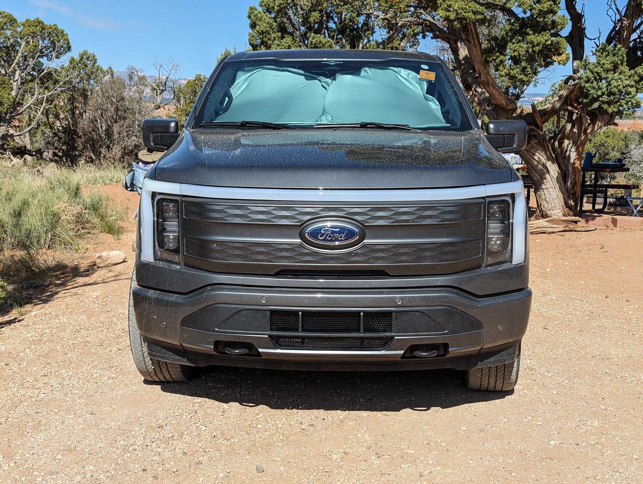Ford F-150 Lightning 🙋‍♂️ What Did You Do To Your Lightning Today? 1000010063