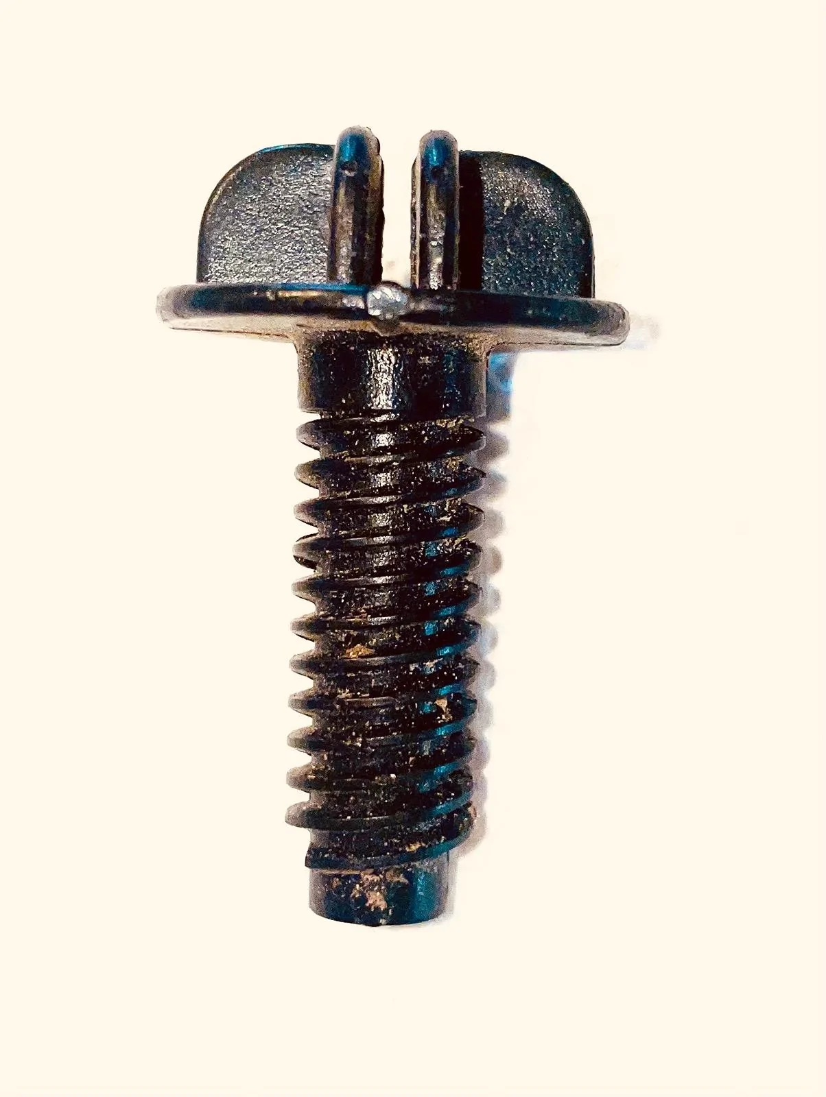 Ford F-150 Lightning Plastic bolt on driveway- Lightning? or Mach E? IMG_4785