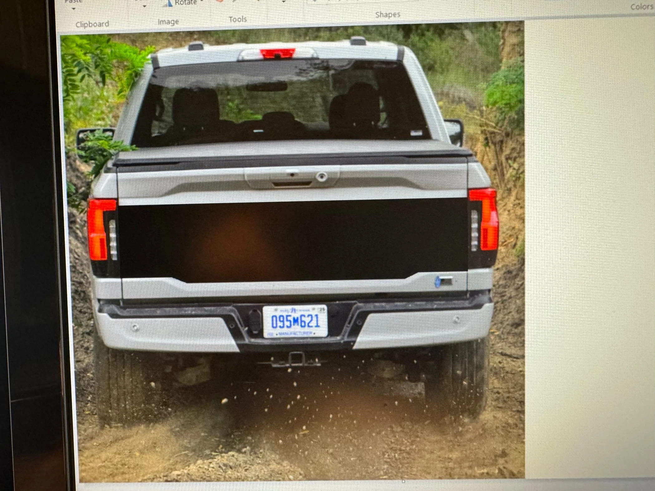 Ford F-150 Lightning Black tailgate on lighter colors IMG_1881