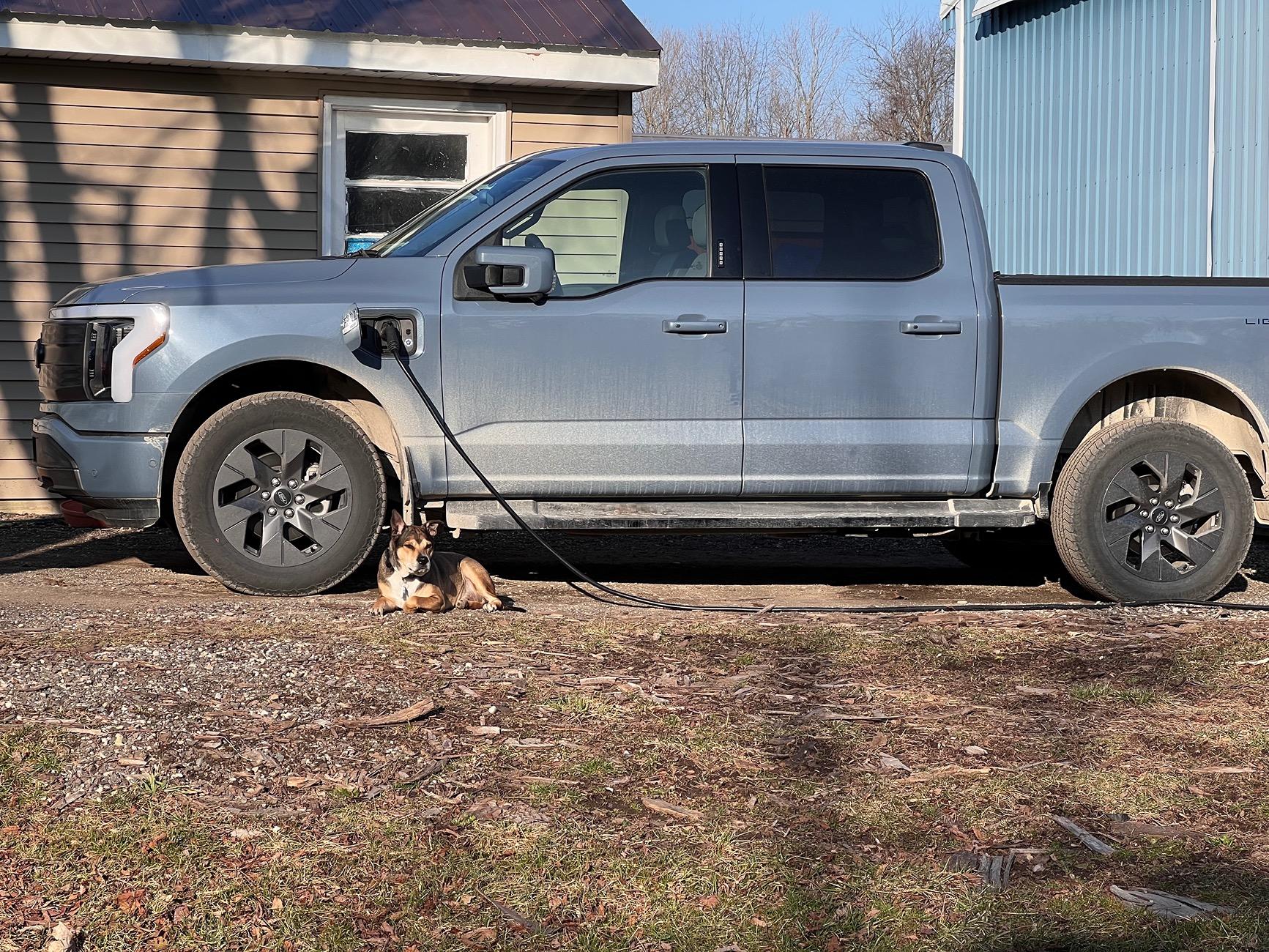 Ford F-150 Lightning Show us your copilot. IMG_4869